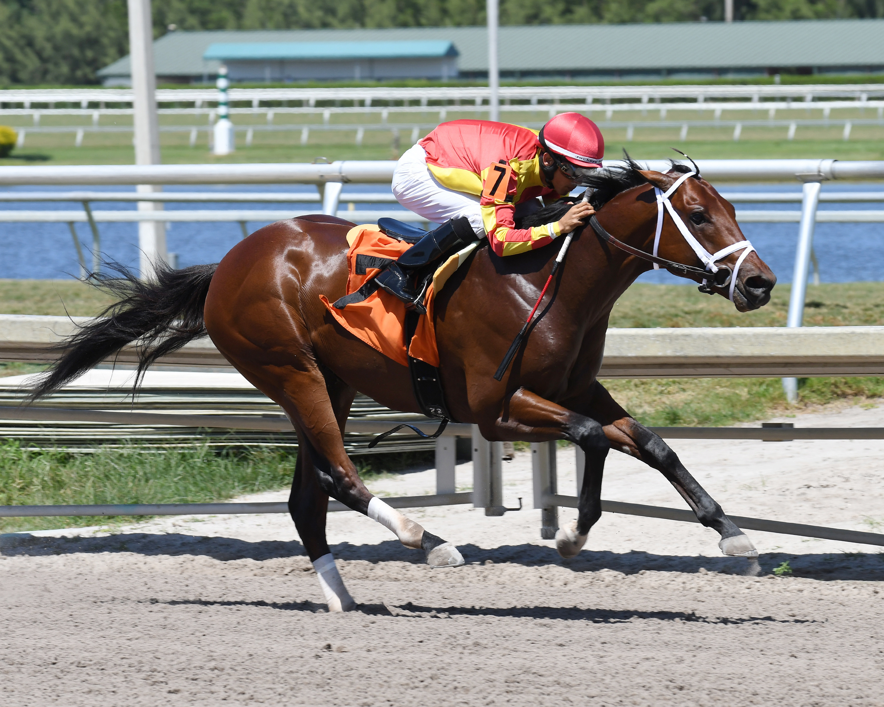 Admiral Jimmy wins a May 3, 2017 maiden race