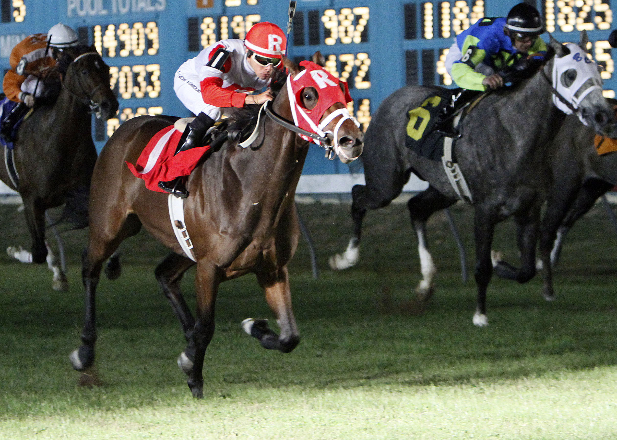 Admiral Kitten, El Joven Stakes