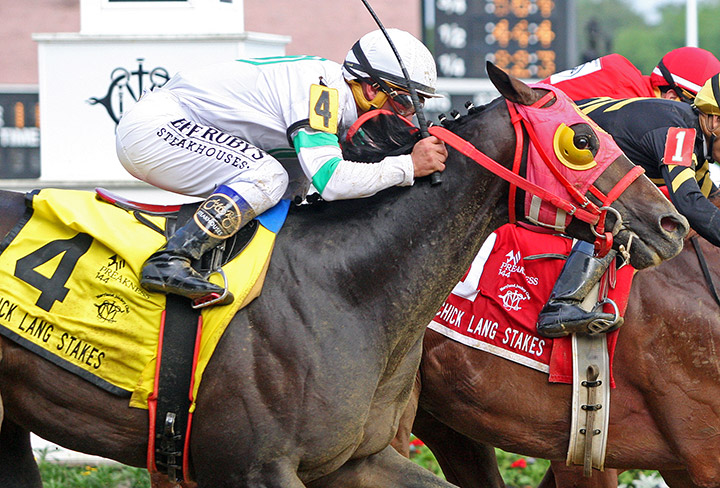 Admiral Lynch finishes third in the 2019 Chick Lang Stakes at Pimlico Race Course