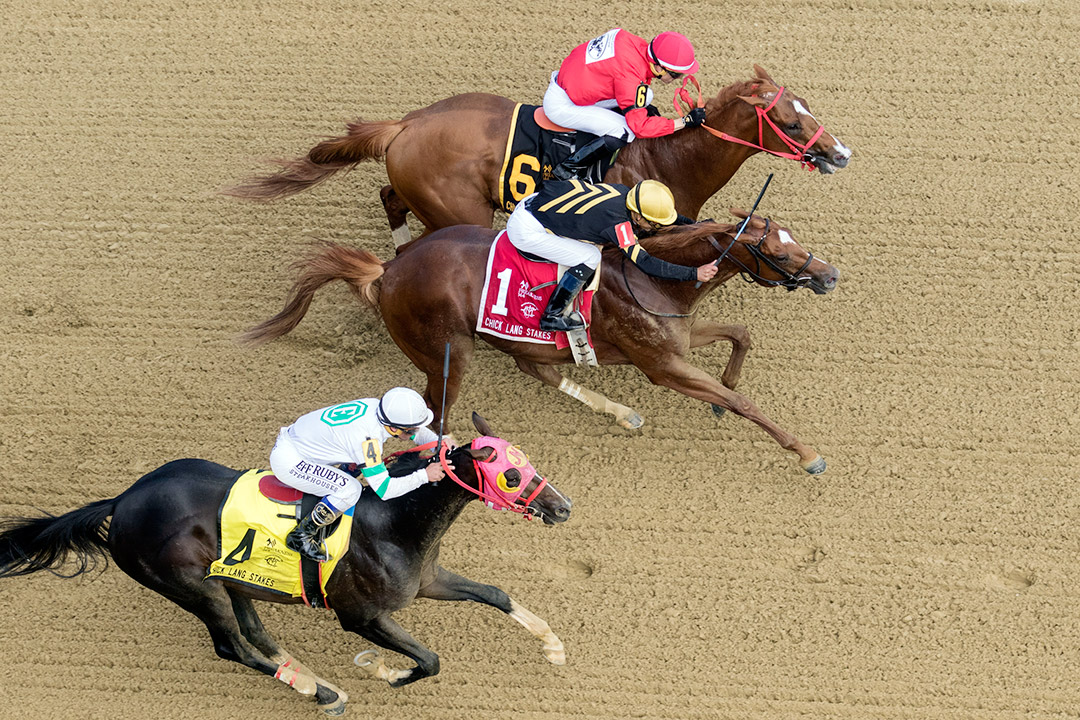 Admiral Lynch (4) finishes third in the 2019 Chick Lang Stakes at Pimlico Race Course