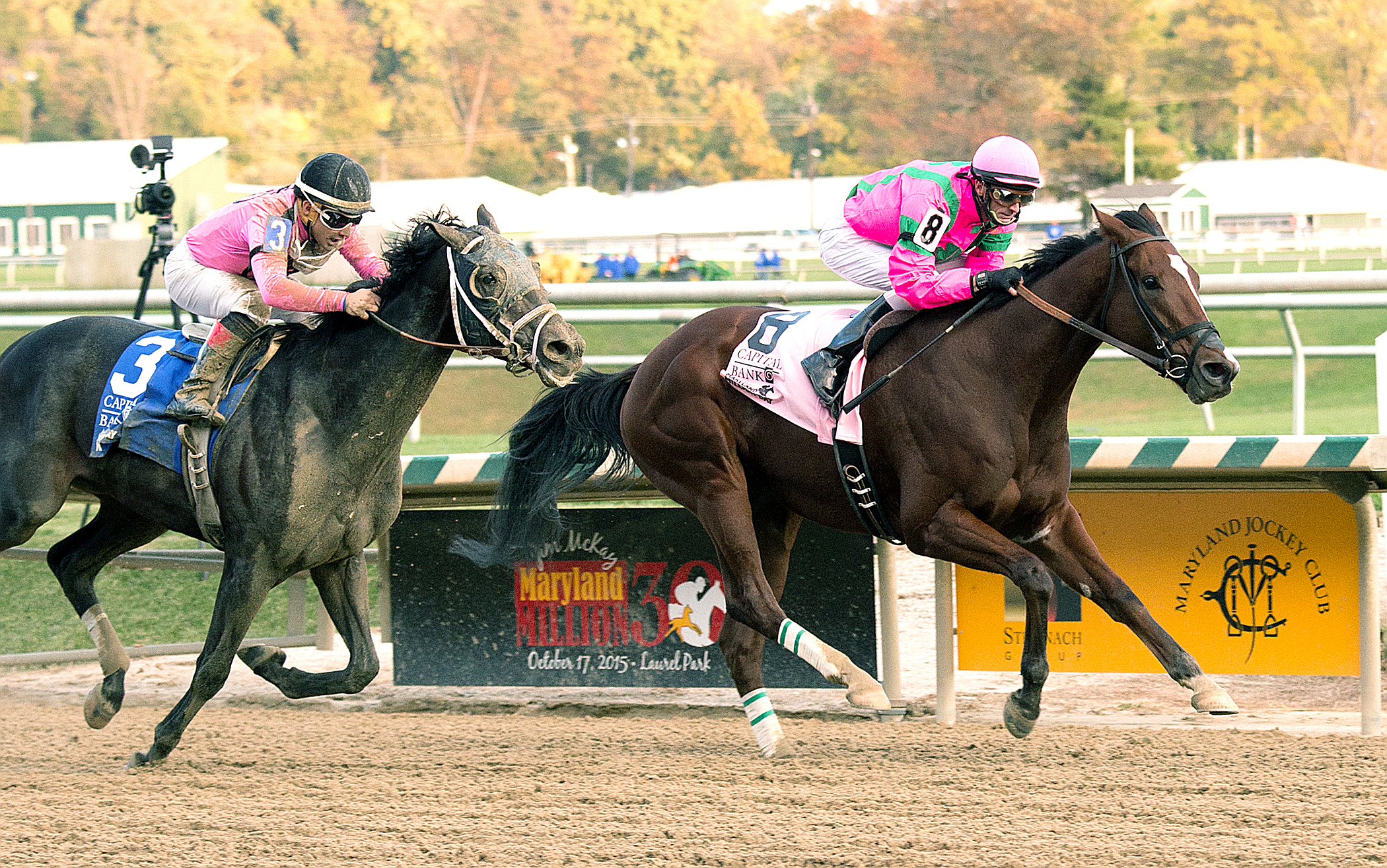 Admirals War Chest wins the 2015 Maryland Millions Classic