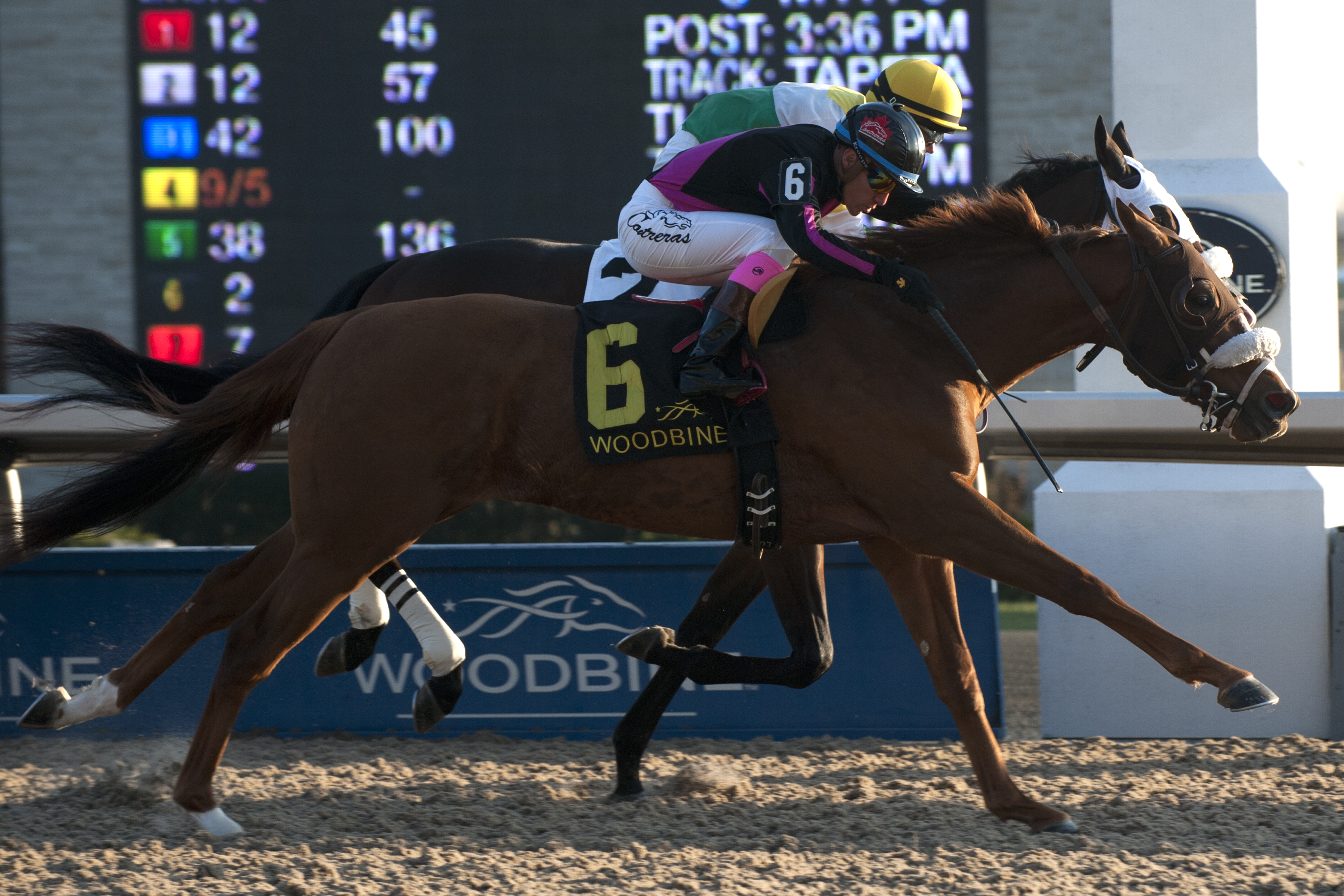 Admiralty Pier wins the 2017 Display Stakes