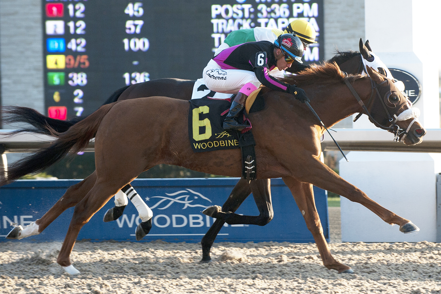 Admiralty Pier wins the 2017 Display Stakes