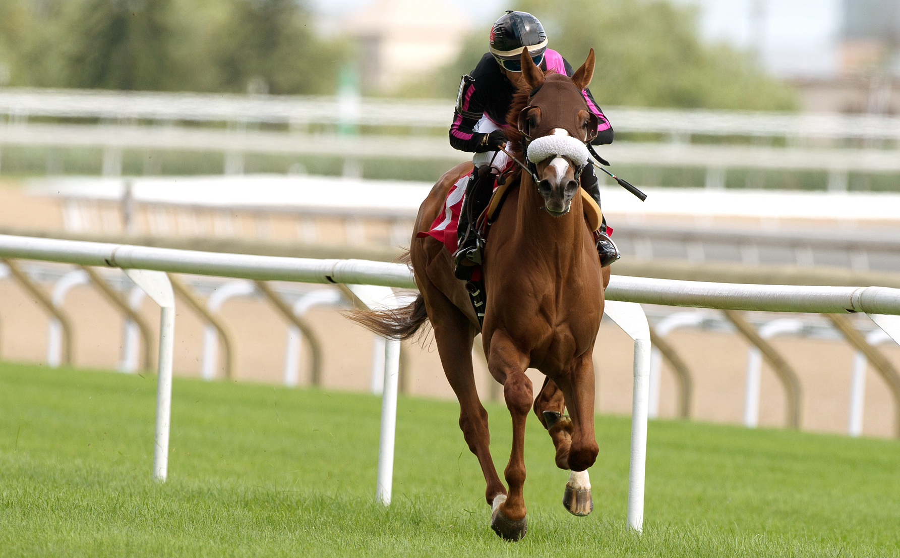 Admiralty Pier wins an Aug. 6 maiden race