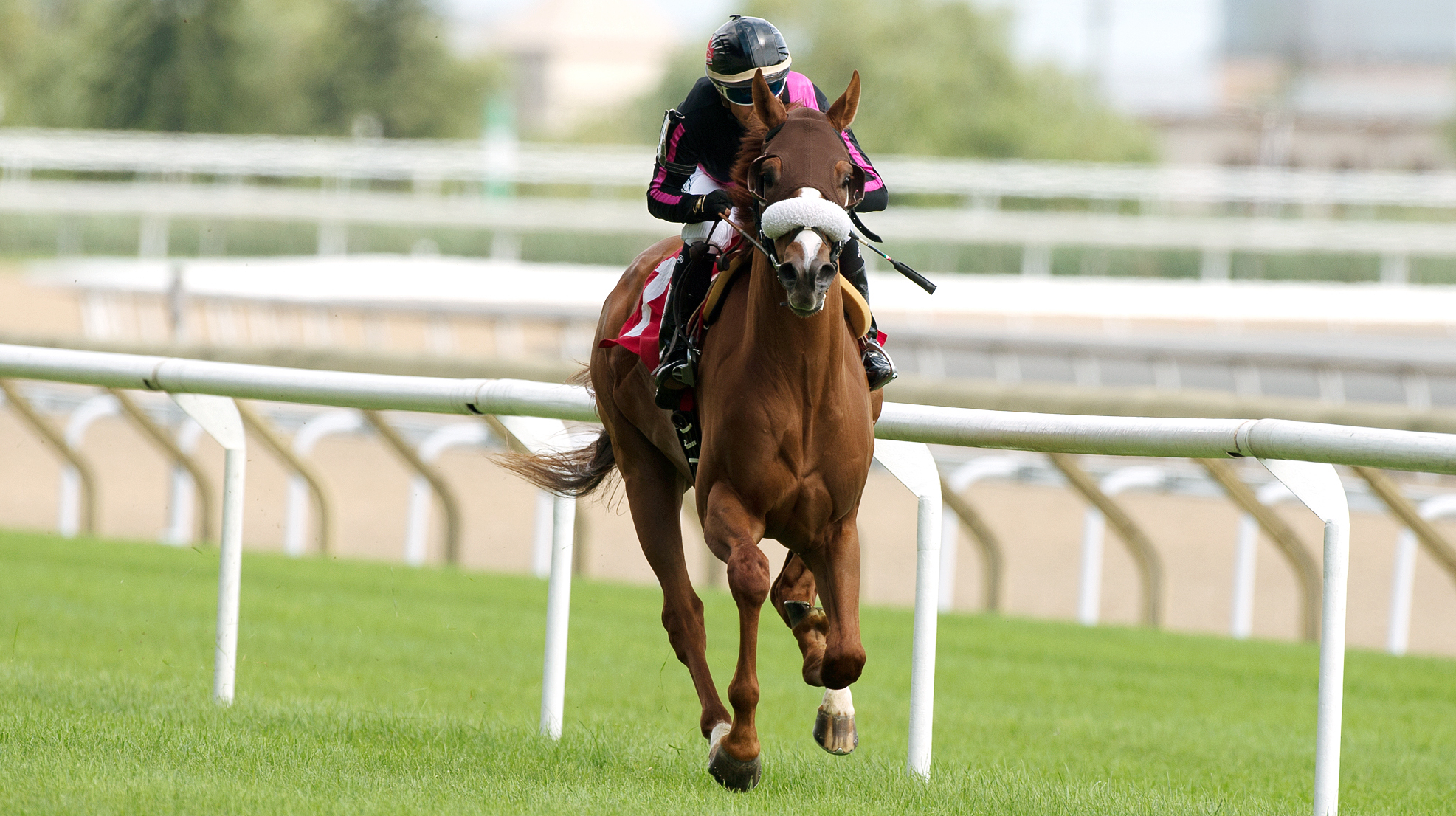 Admiralty Pier wins an Aug. 6 maiden race