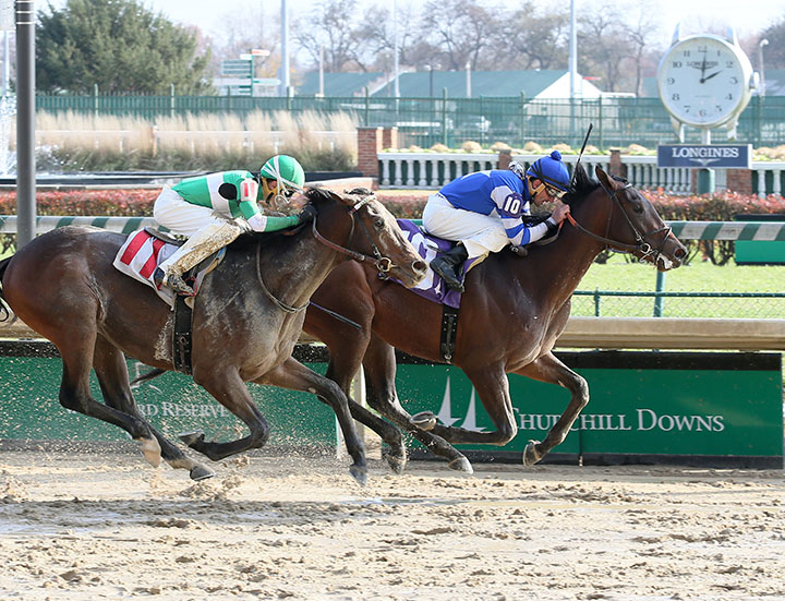 Admire wins a Nov. 24 maiden race