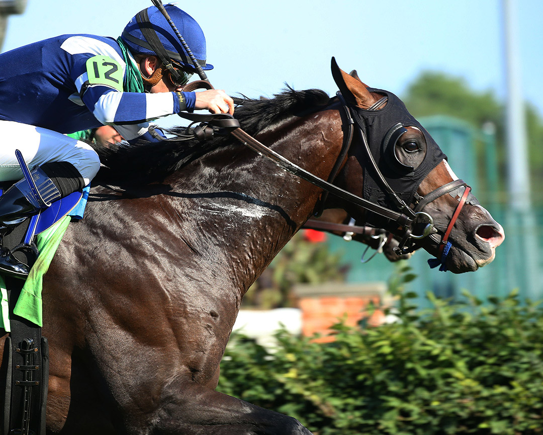 Admission Office wins the 2020 Louisville Handicap at Churchill Downs