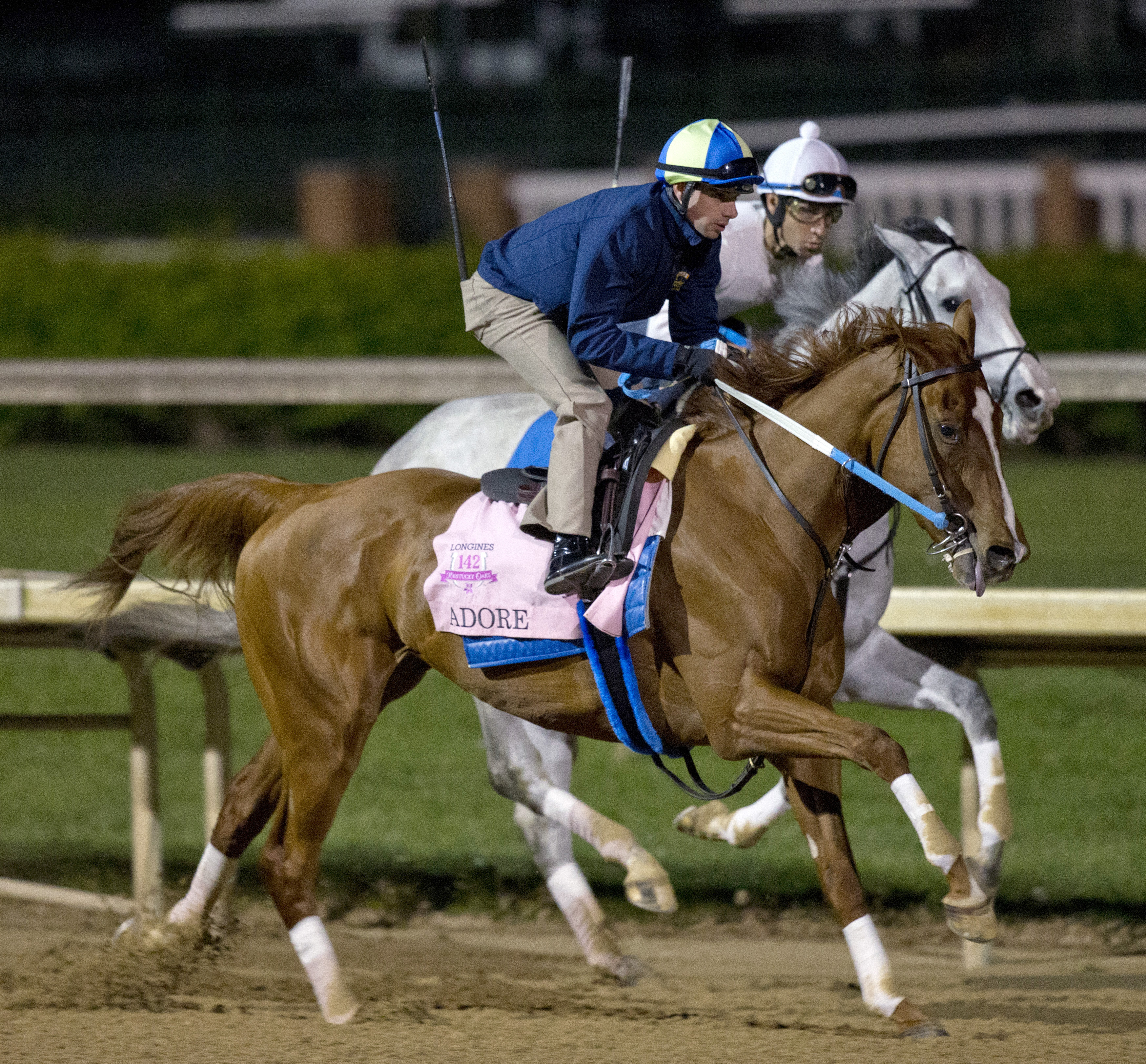 Adore trains at Churchill Downs on April 25