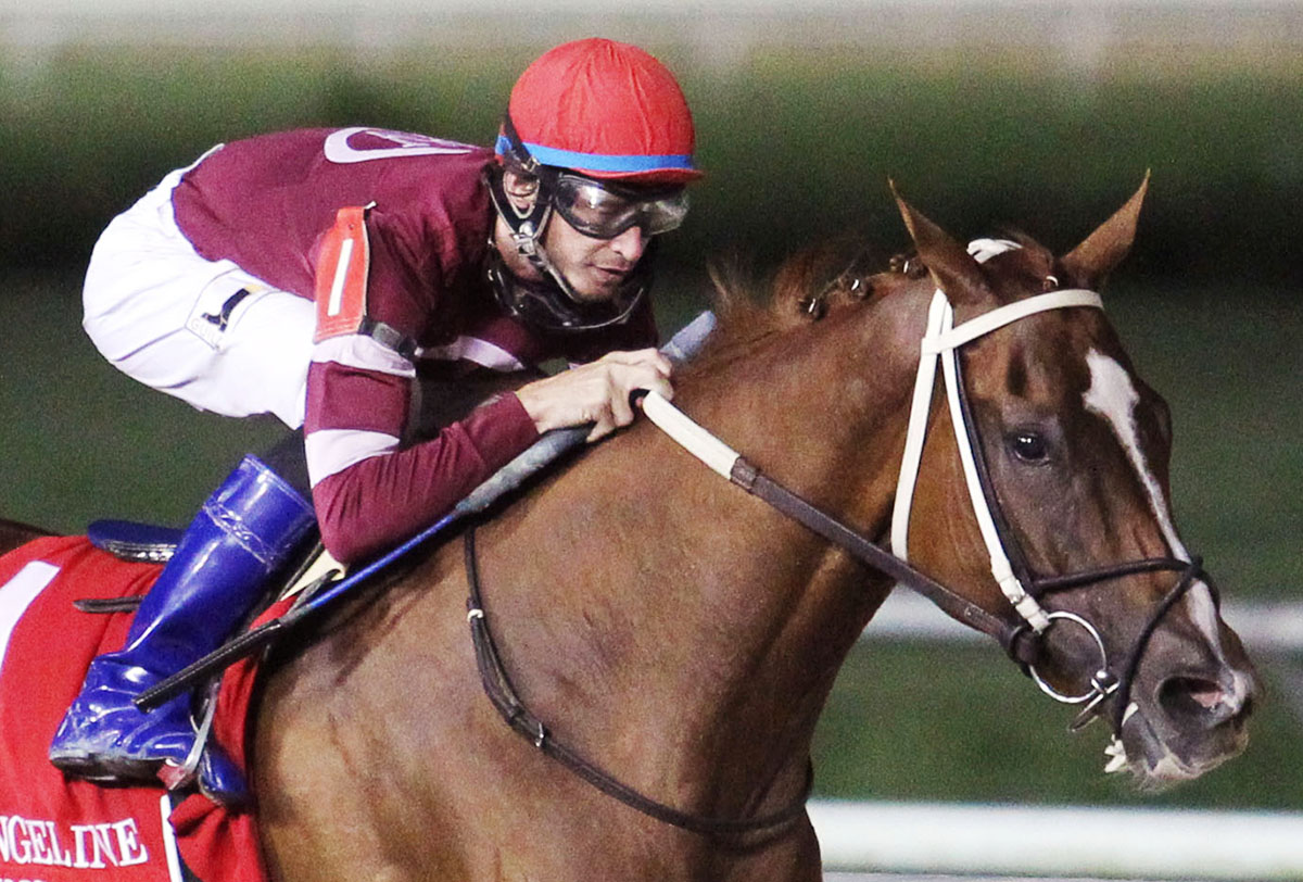 Timothy Thornton aboard Adore winning the Spotted Horse Stakes