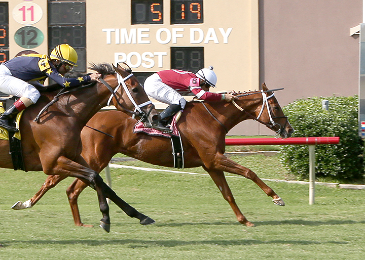 Adore wins the 2019 Lone Star Park Turf