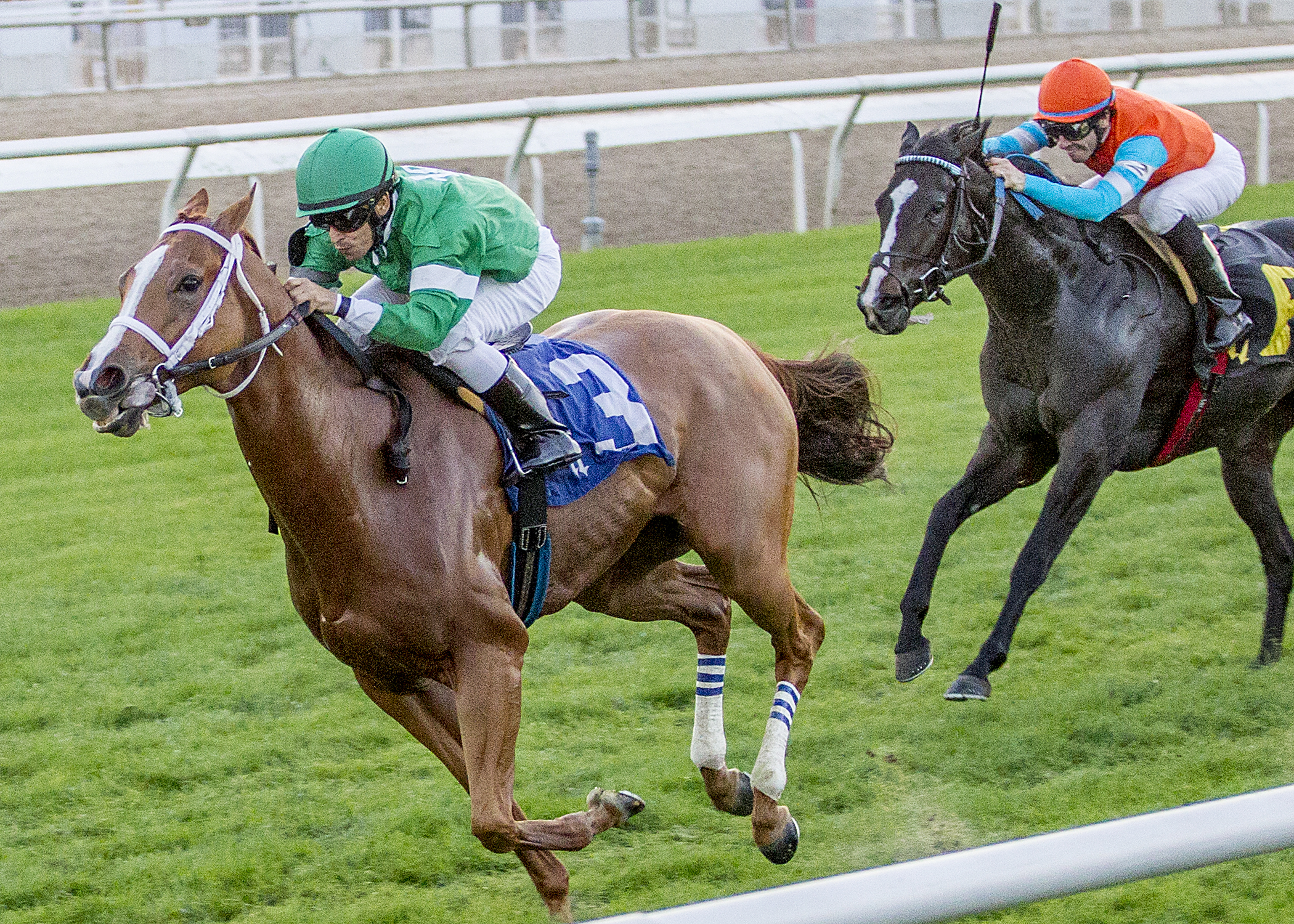 Adrianne G wins the Battle of New Orleans Overnight Stakes