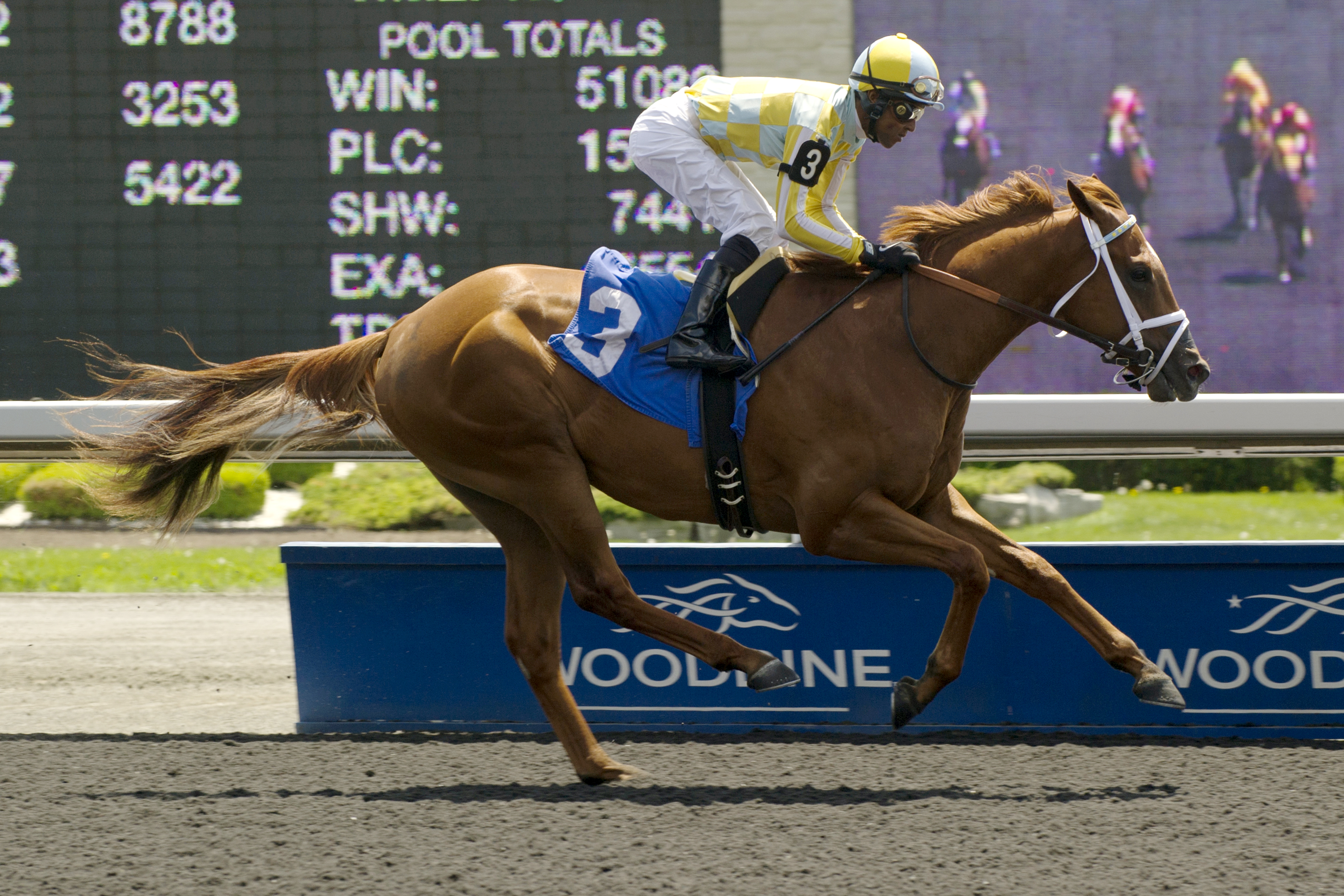 Adrosa Sky wins a maiden race