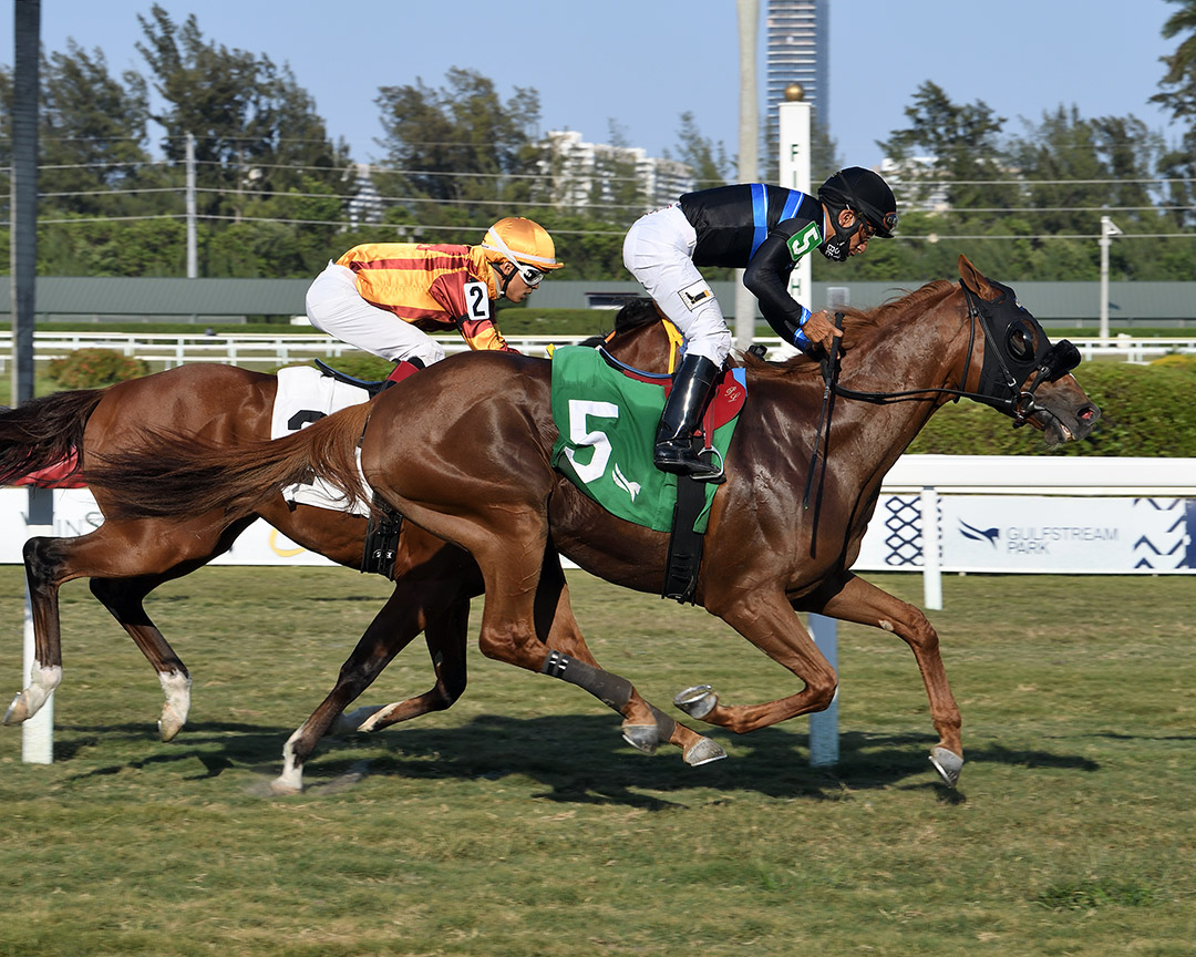 Advanced Strategy wins an April 17 allowance at Gulfstream Park