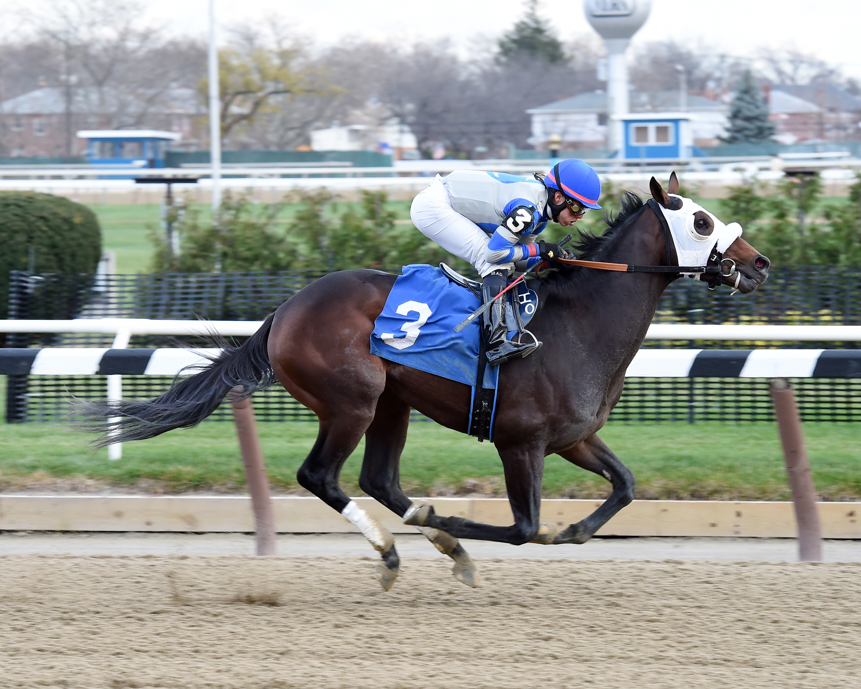 Adventist wins a maiden race at Aqueduct