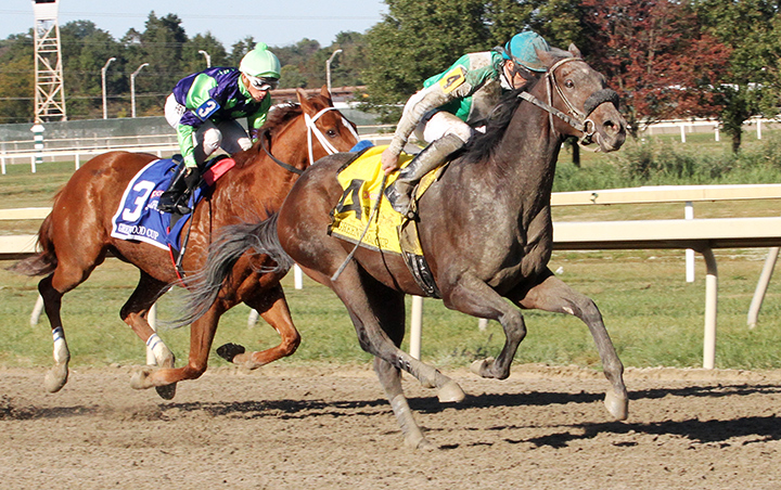 Adventist wins the 2019 Greenwood Cup at Parx