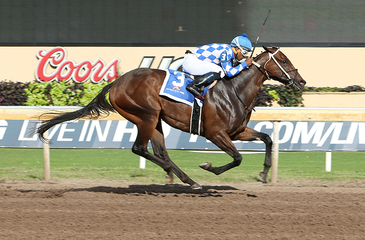 Adventurous Lady wins the E.L. Gaylord Memorial Stakes