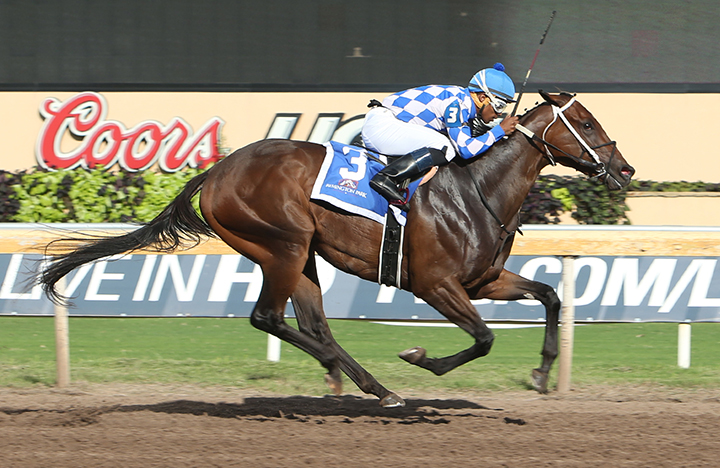 Adventurous Lady wins the E.L. Gaylord Memorial Stakes