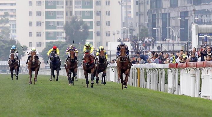 Turf racing at Sha Tin Racecourse in Hong Kong