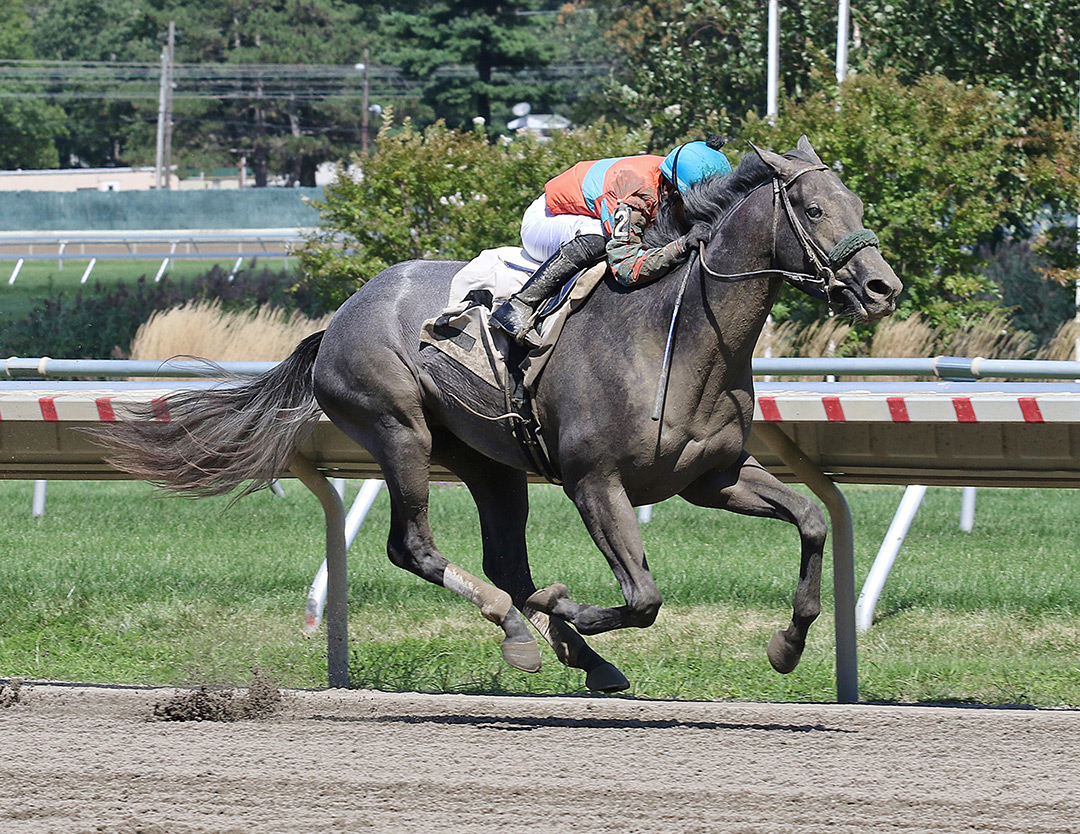 Affable Monarch wins a Sept. 6 maiden race at Monmouth Park