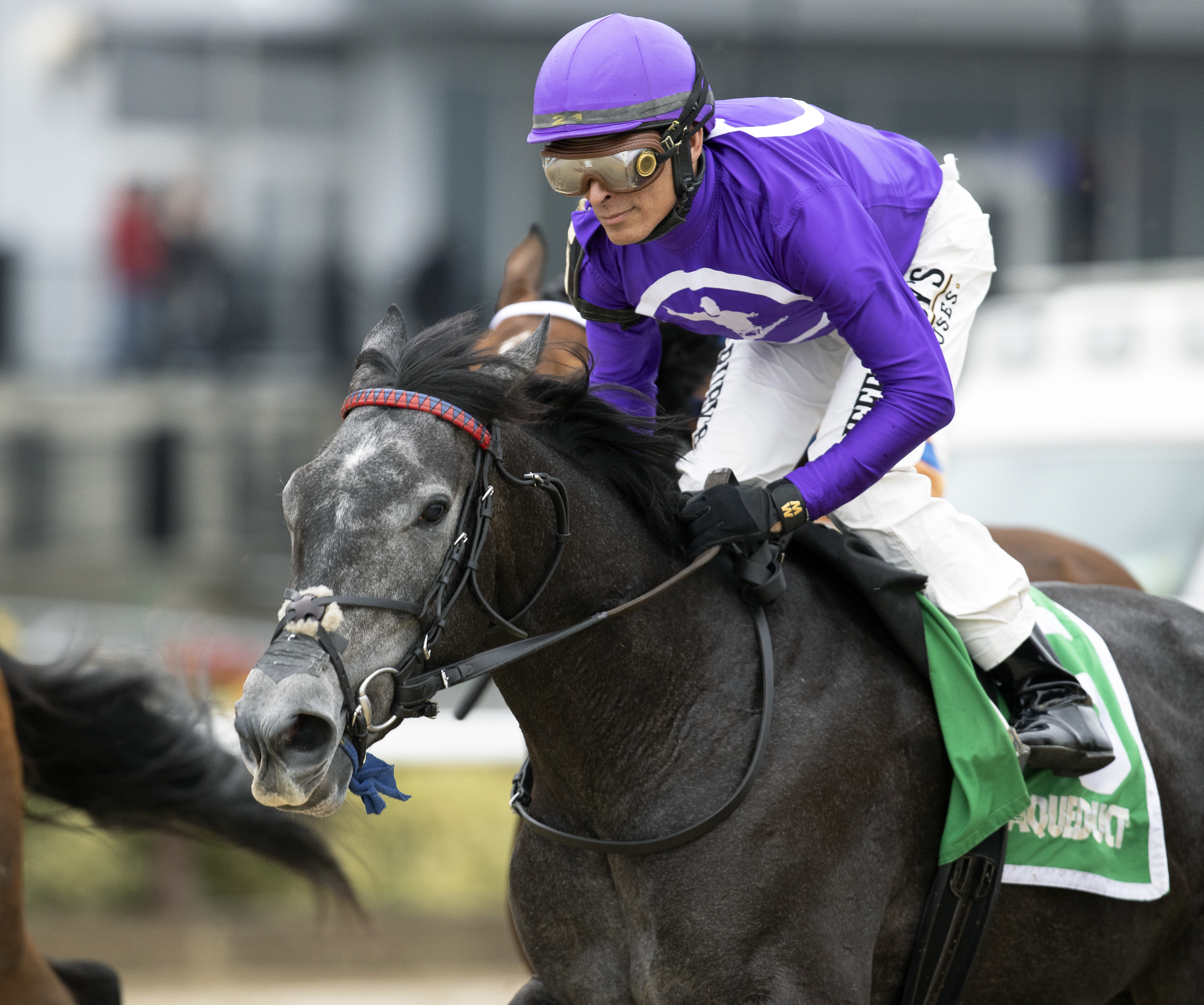 Affirmative Lady at AQU Dec 3 2022