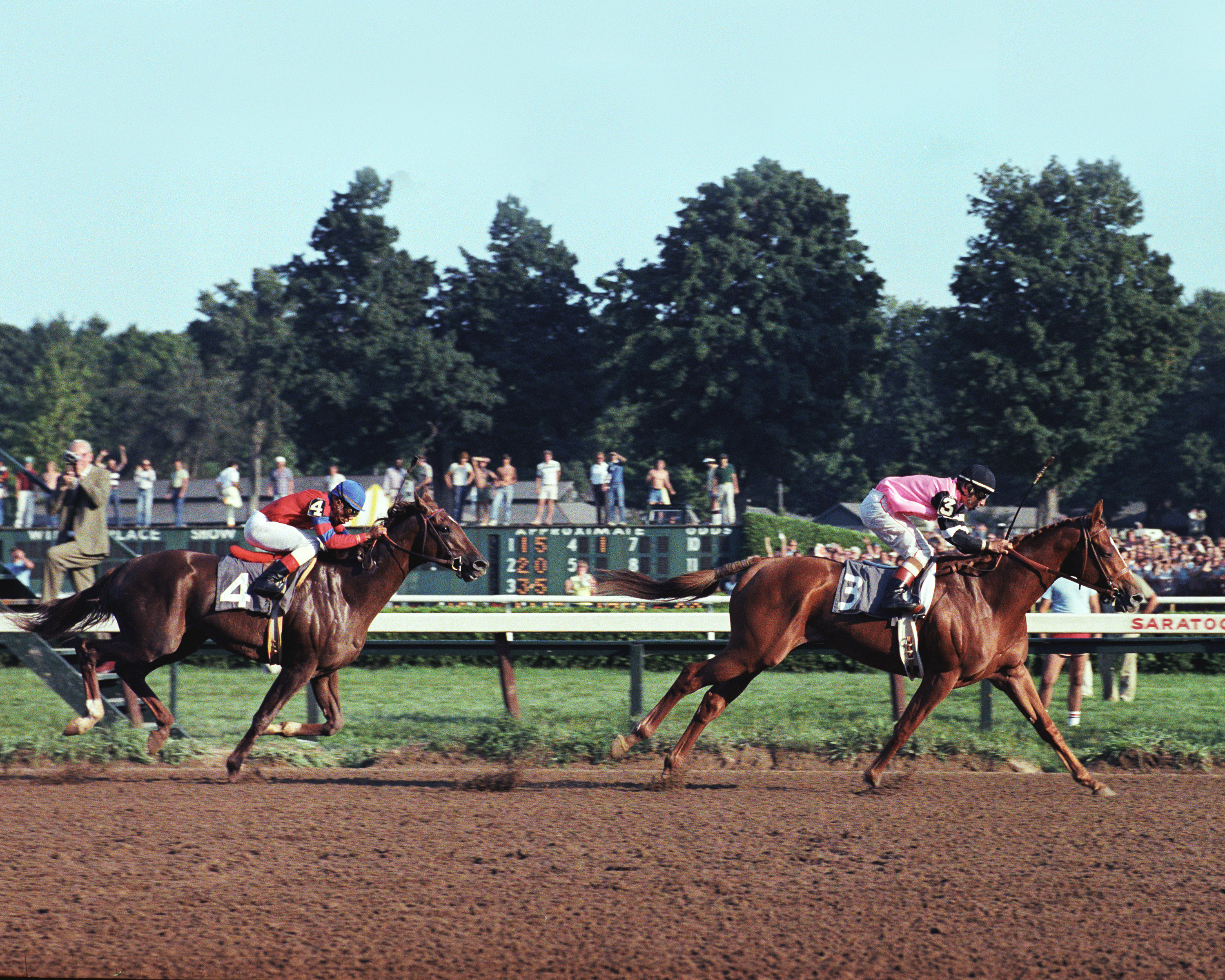 Affirmed wins the 1978 Travers