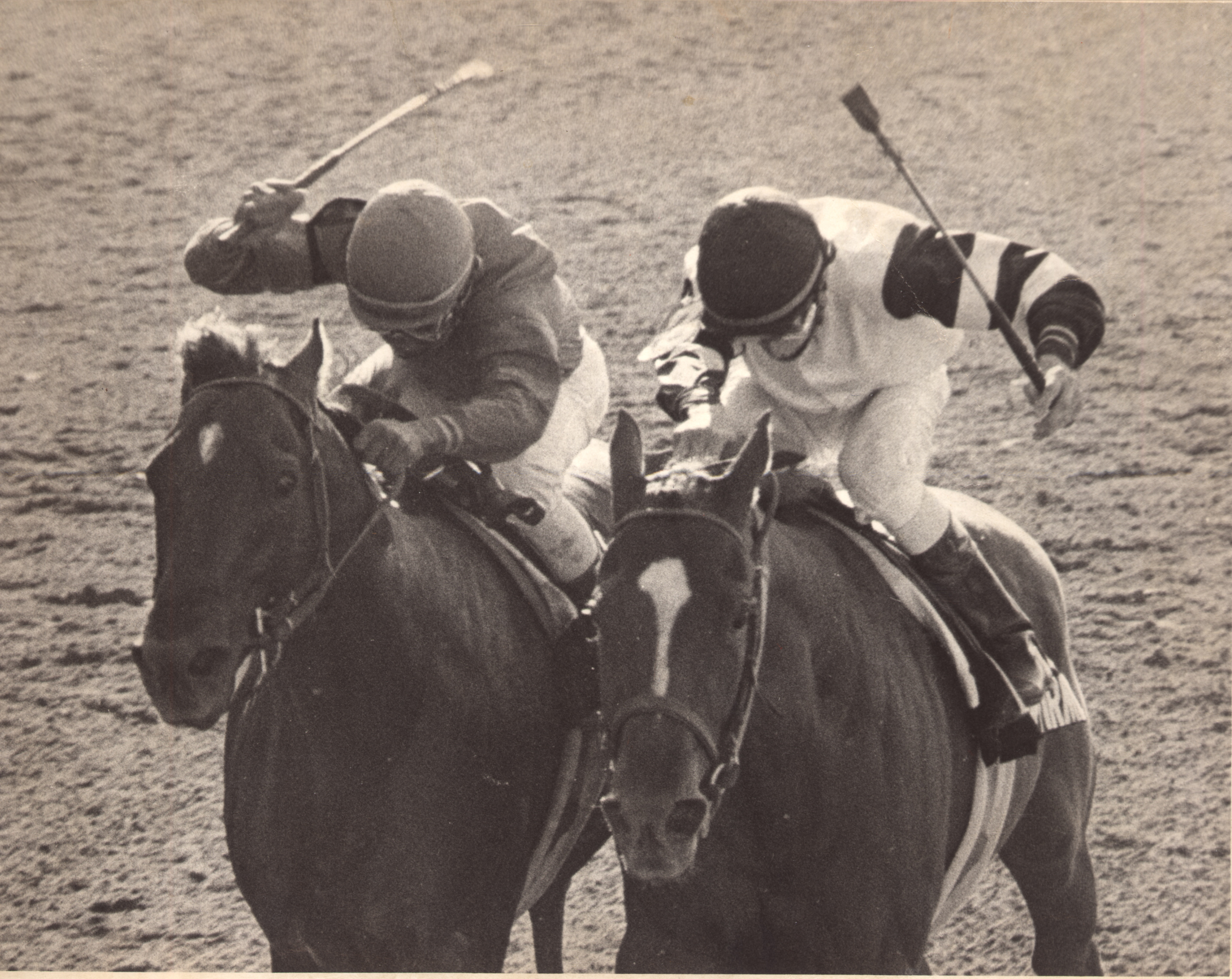 Affirmed vs. Alydar