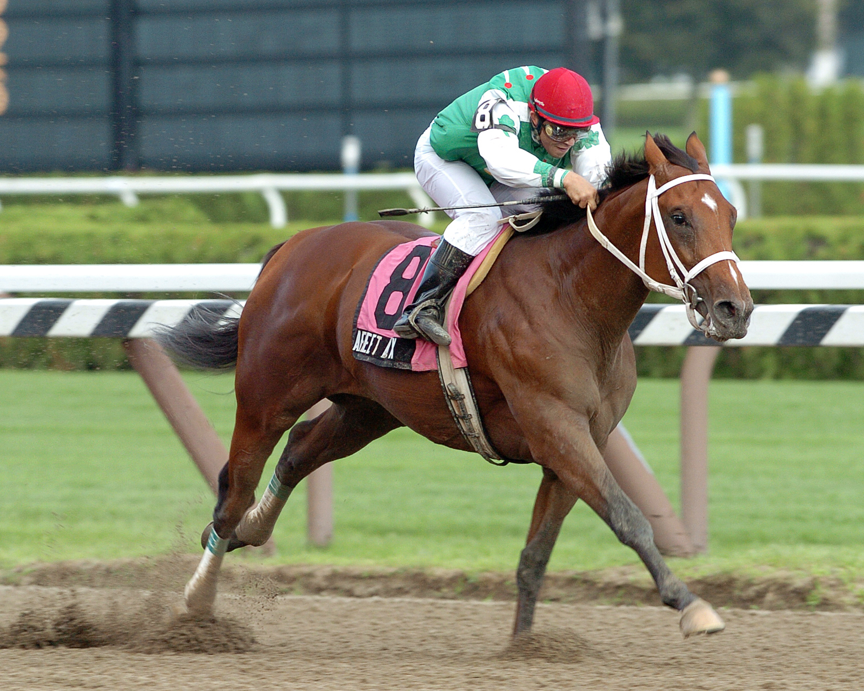 Afleet Alex wins the 2004 Sanford