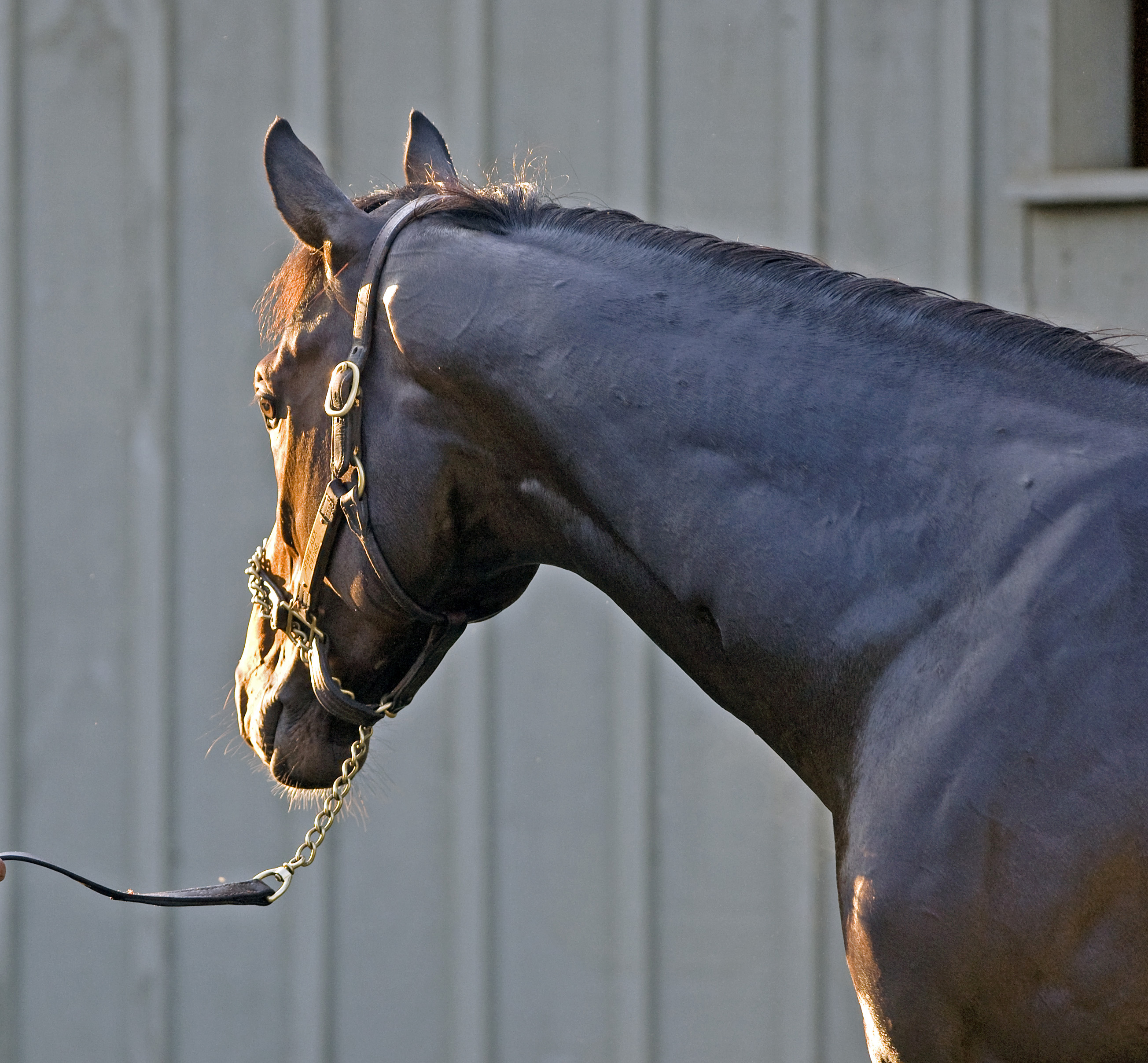 Afleet Express