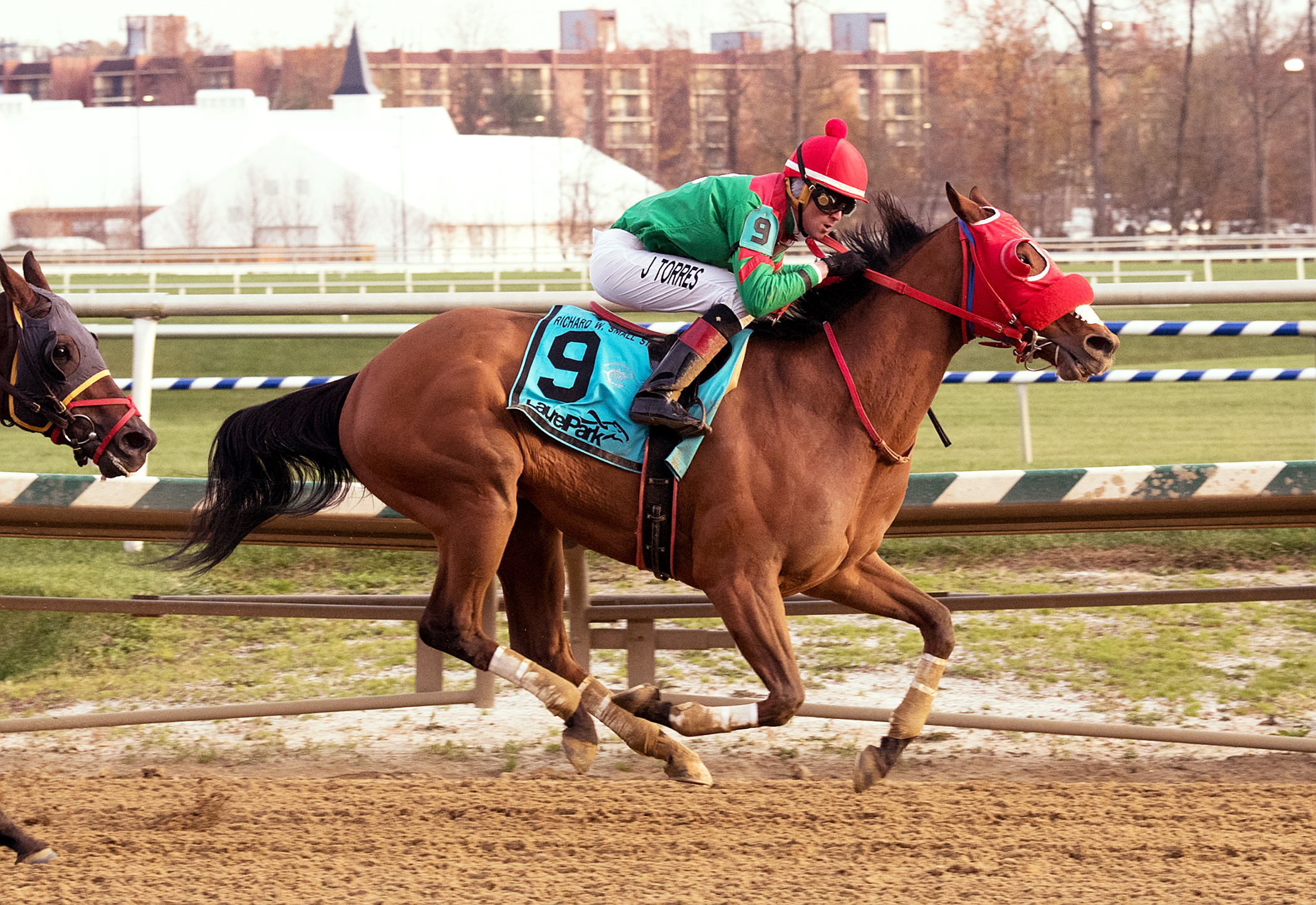 Afleet Willy