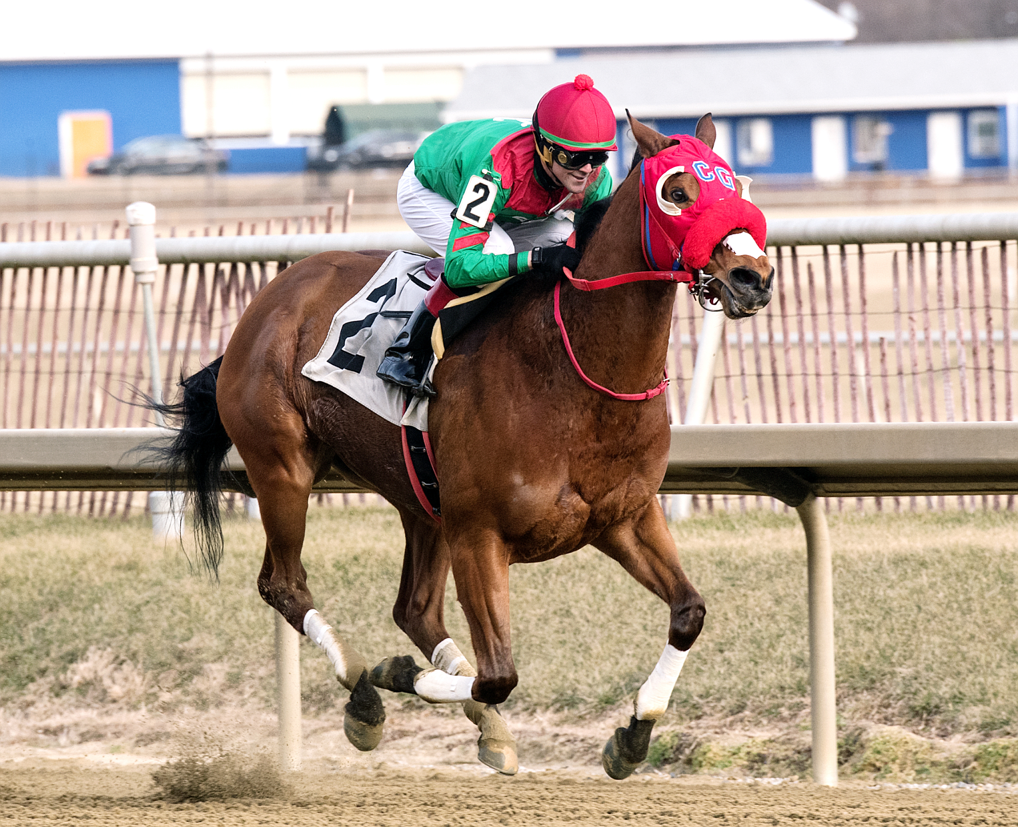 Afleet Willy wins the Native Dancer
