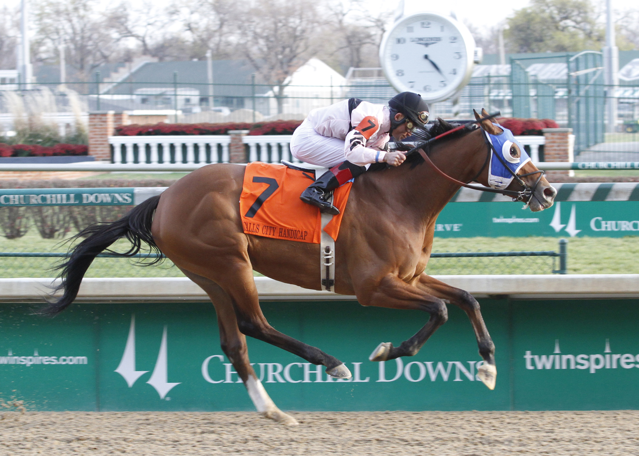 Oatsee, the dam of Shackleford, heading to England for mating with Frankel