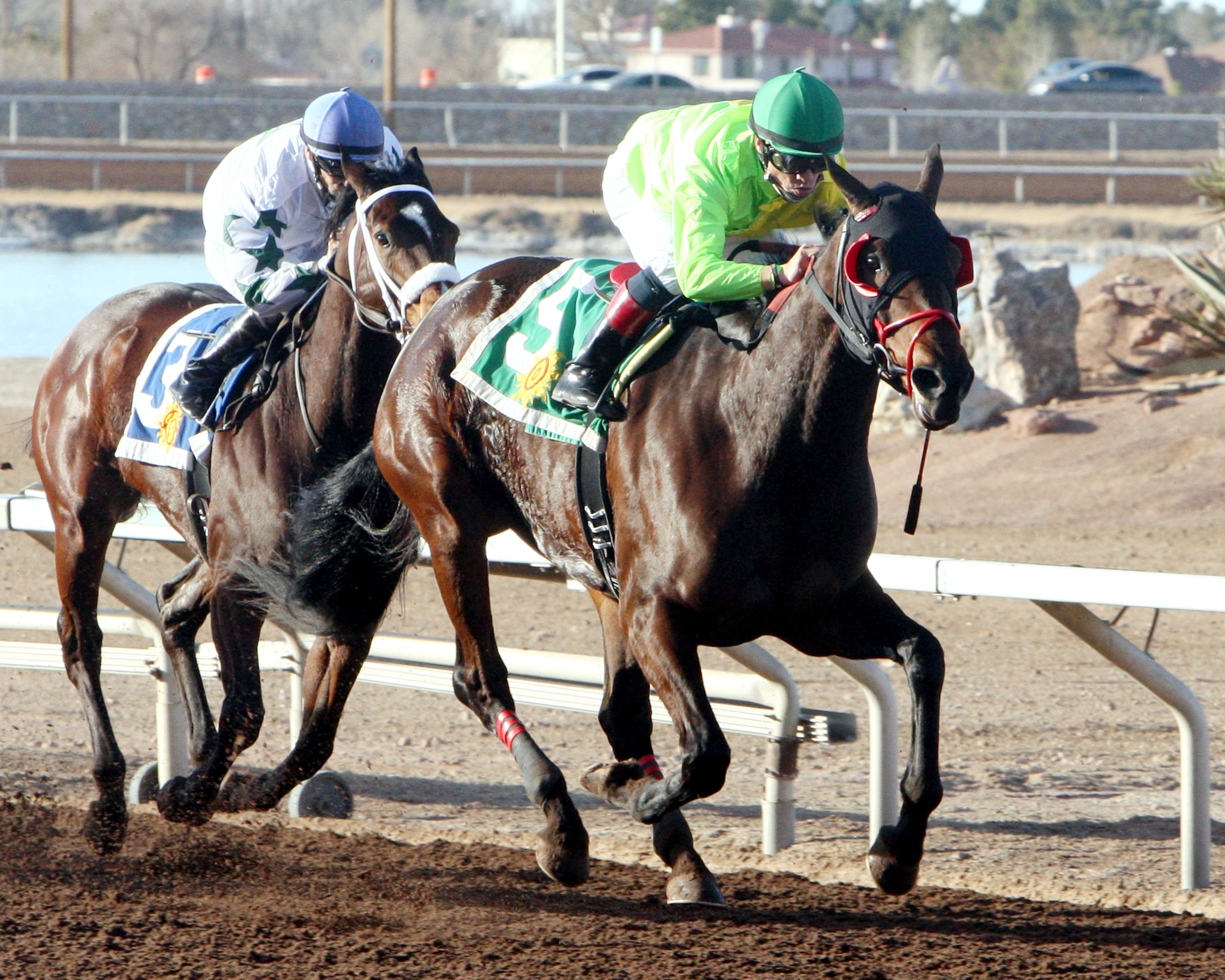 African Rose wins the El Diario