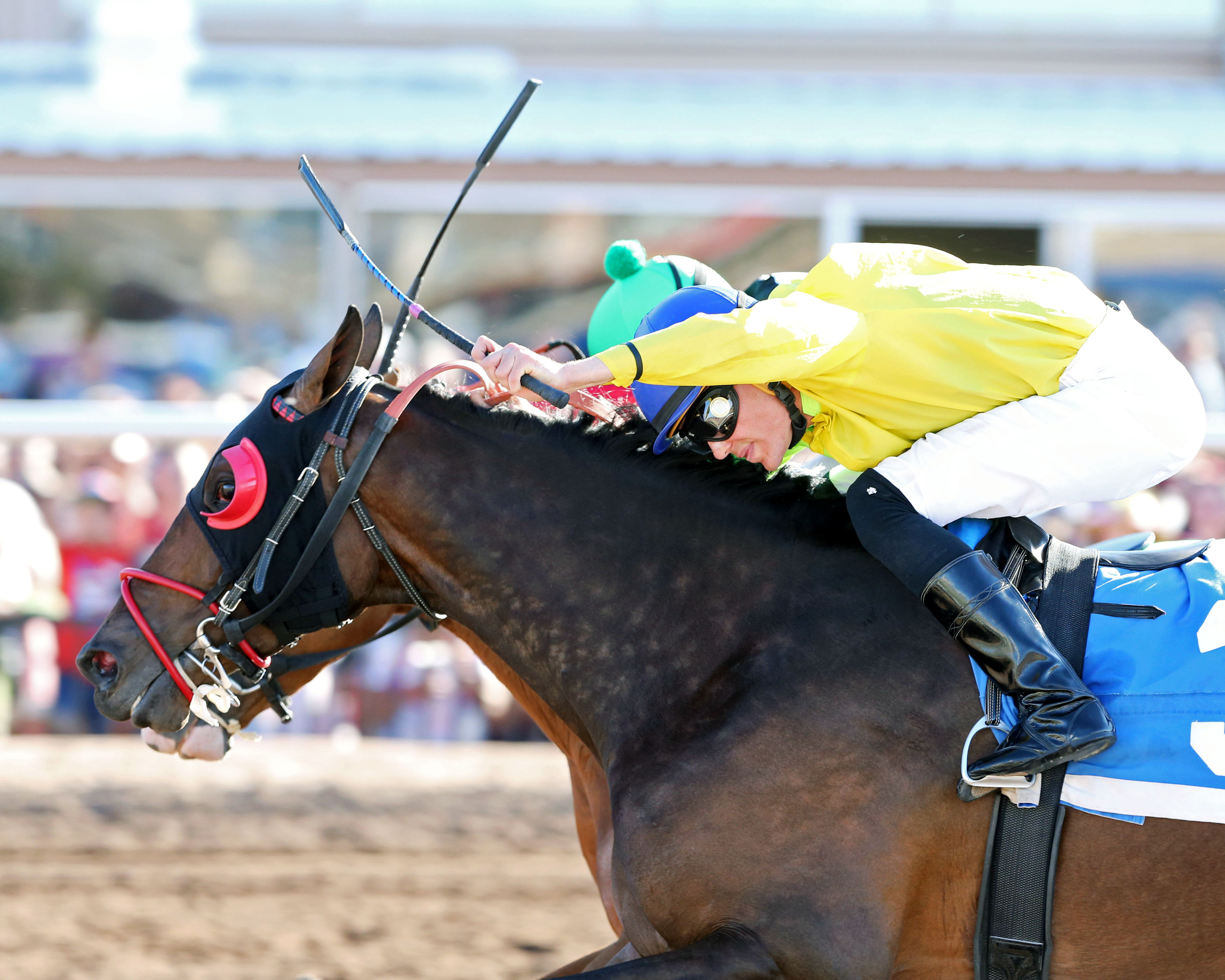 African Rose wins the Harry W. Henson Handicap