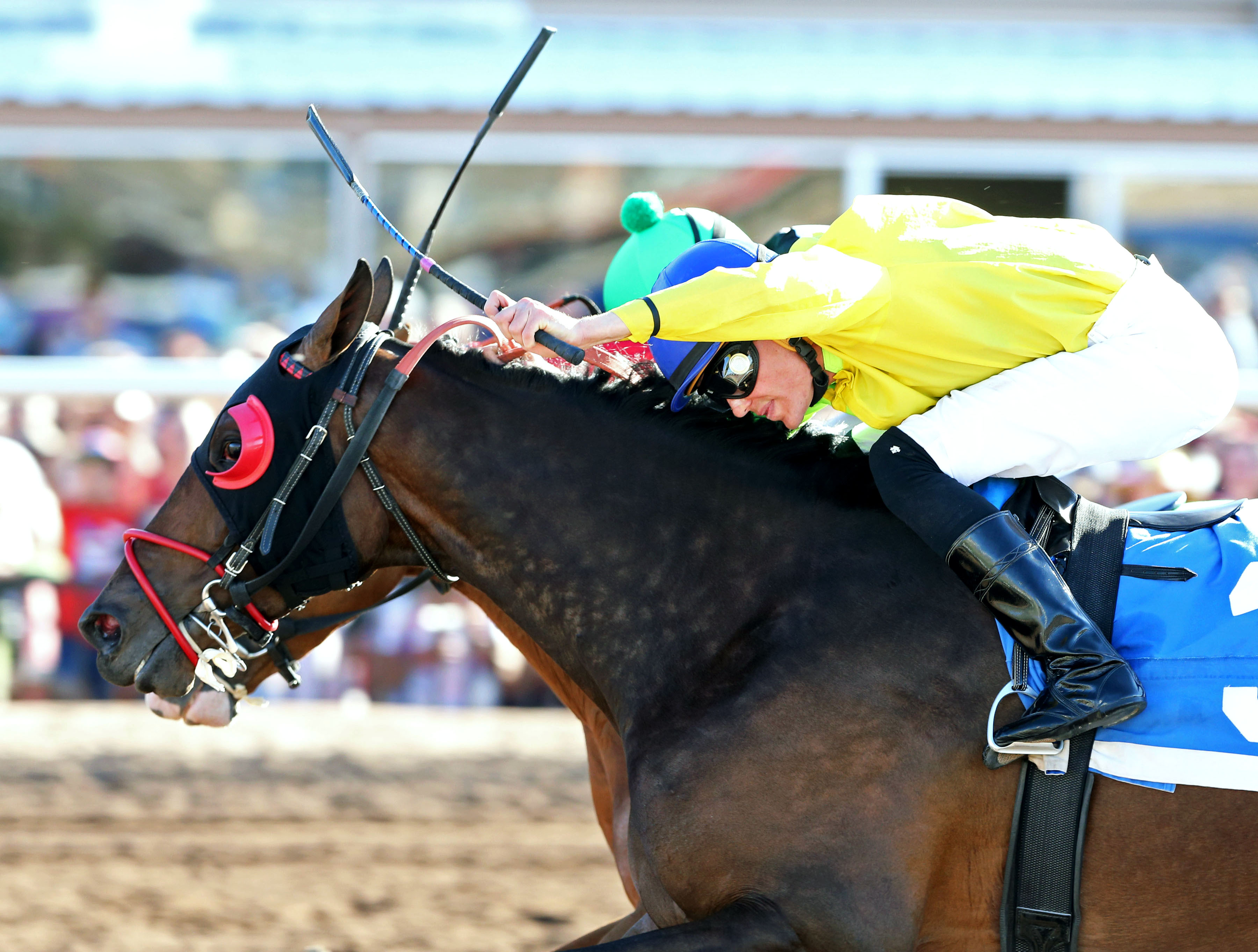 African Rose wins the Harry W. Henson Handicap