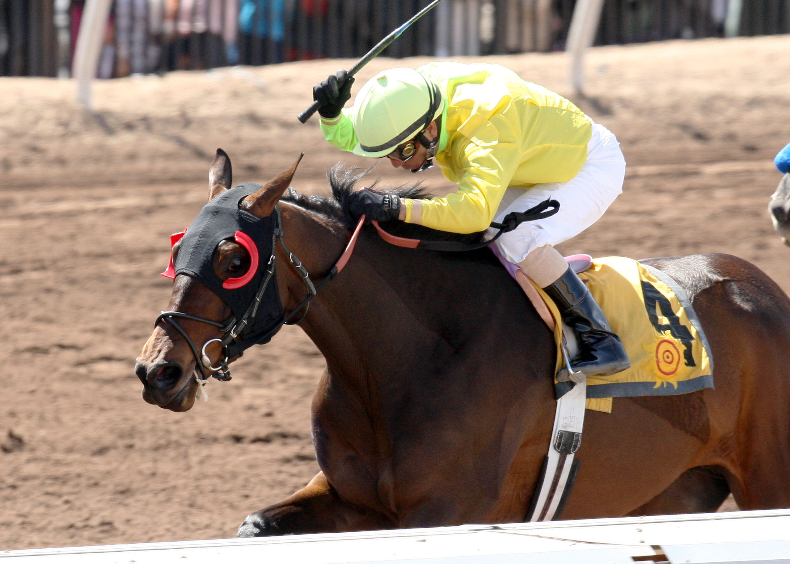 African Rose, Harry W. Henson Handicap