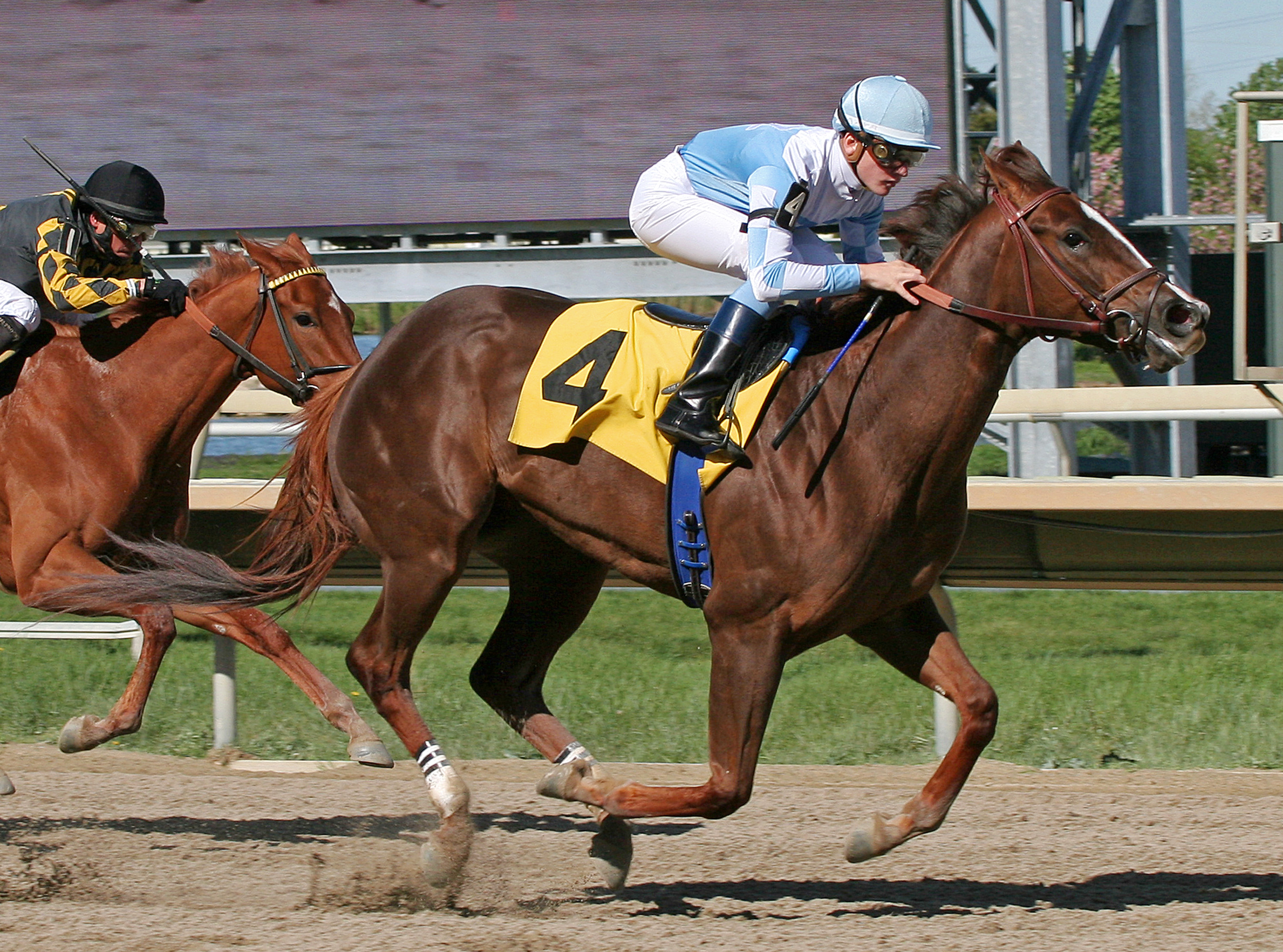 Agave Kiss, Trevose Stakes