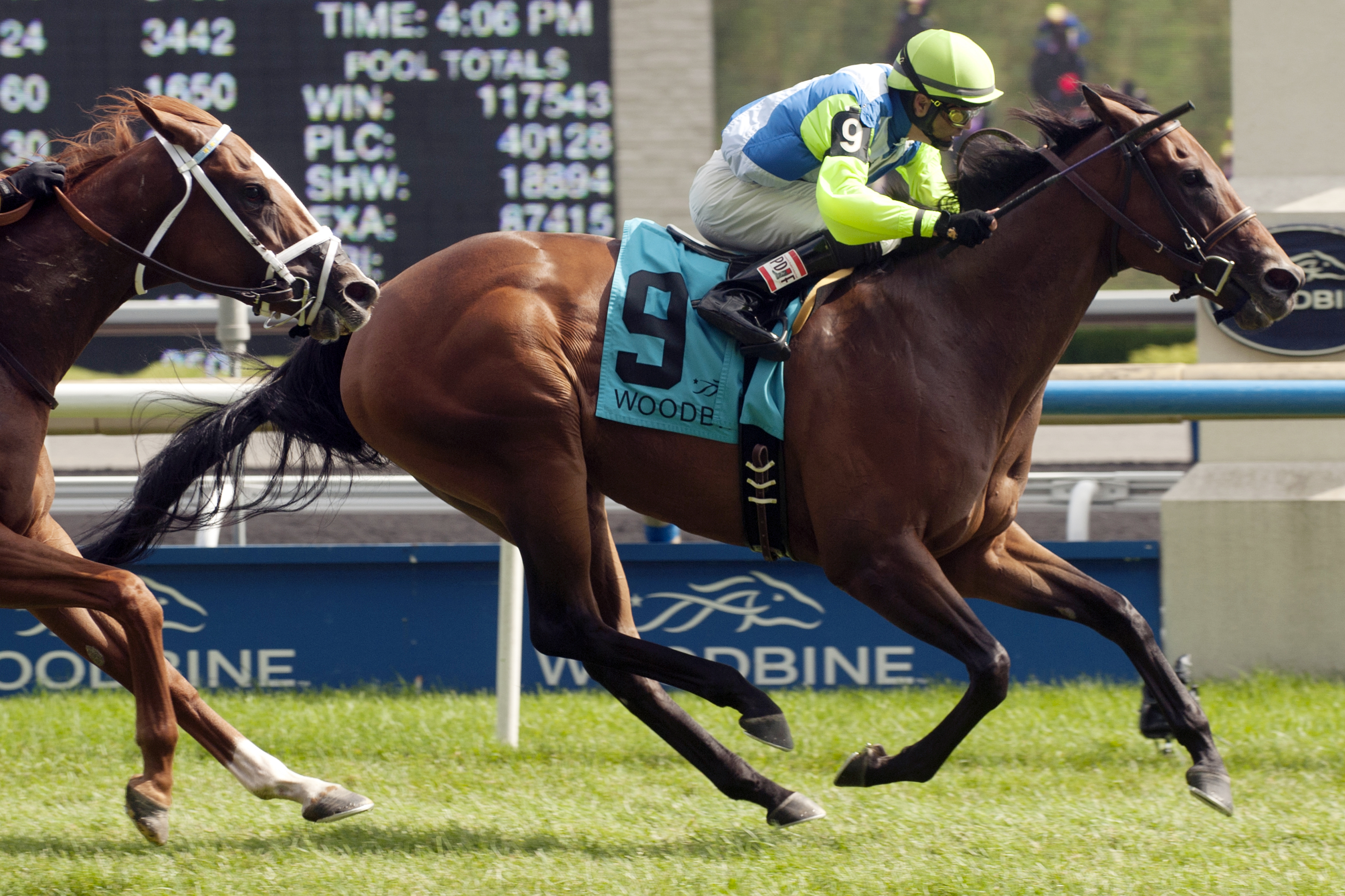 Ageless wins the Royal North