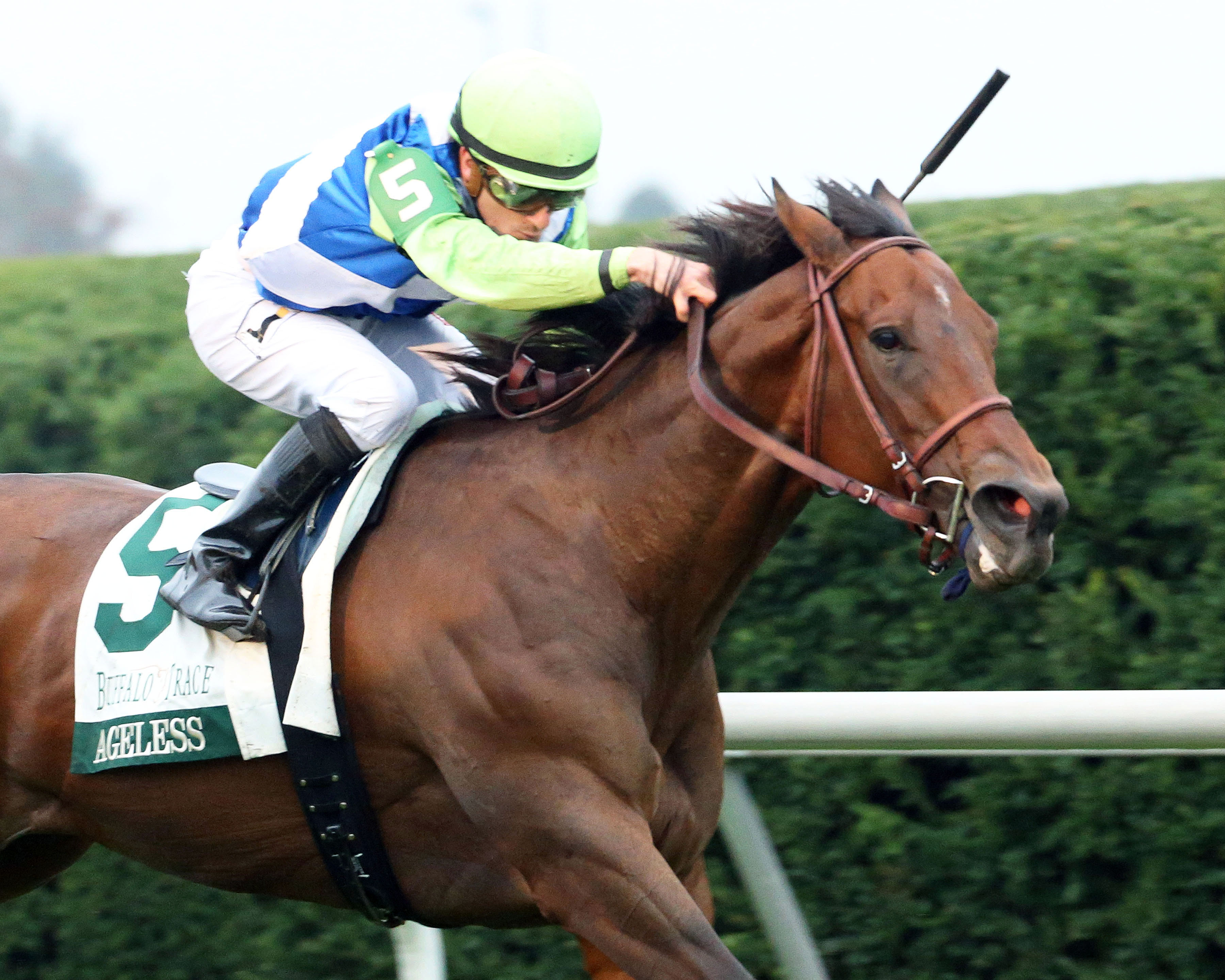 Ageless wins the Buffalo Trace Franklin County