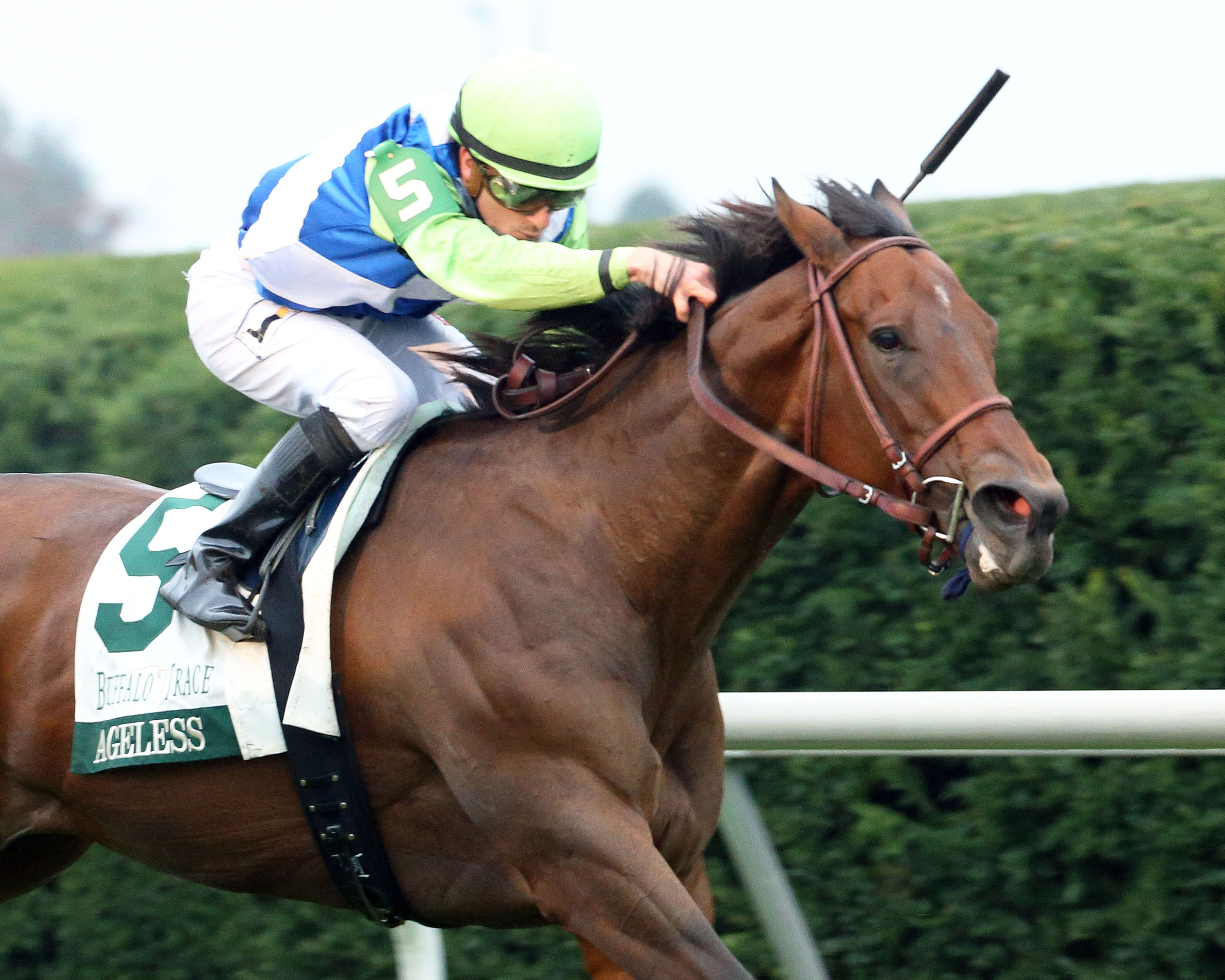 Ageless wins the Buffalo Trace Franklin County
