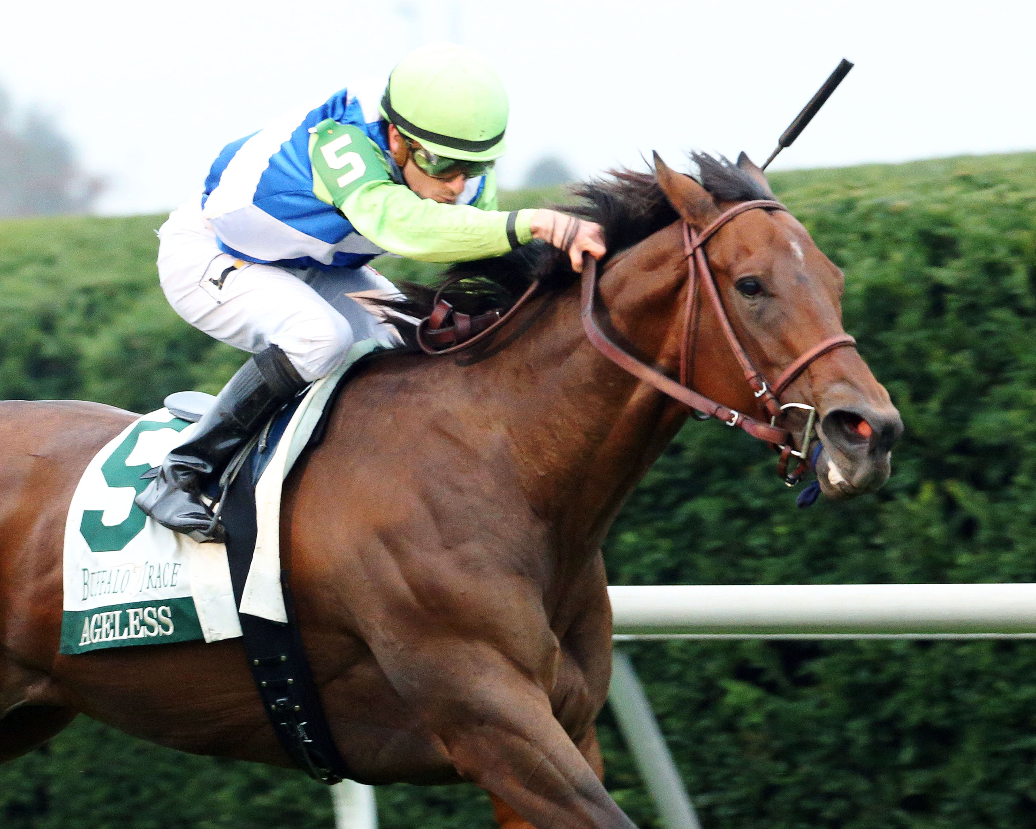 Ageless wins the Franklin County Stakes