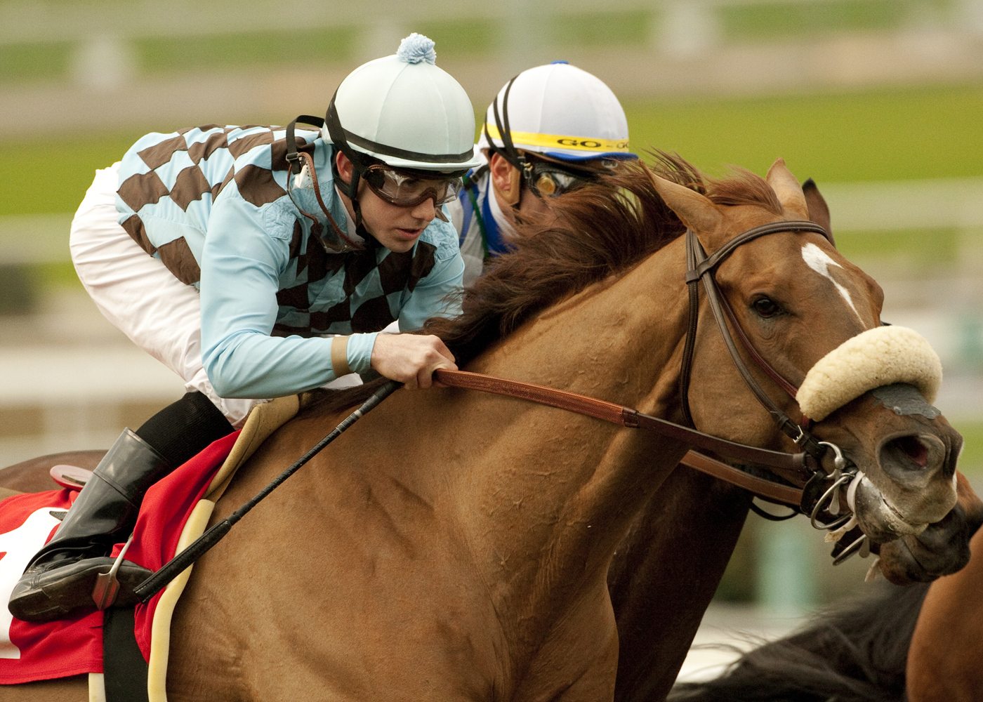Aggie Engineer, 2011 San Pasqual