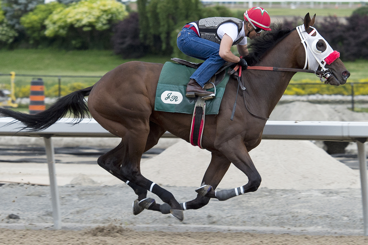 Aheadbyacentury trains at Woodbine on June 23