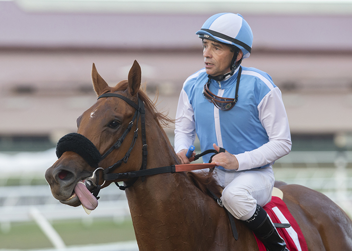 Ahmisa after the Osunitas Stakes at Del Mar