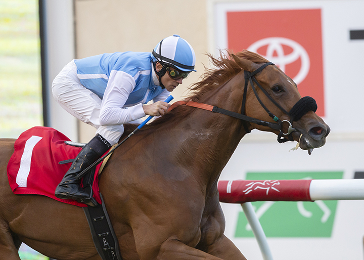 Ahimsa wins the 2019 Osunitas Stakes at Del Mar
