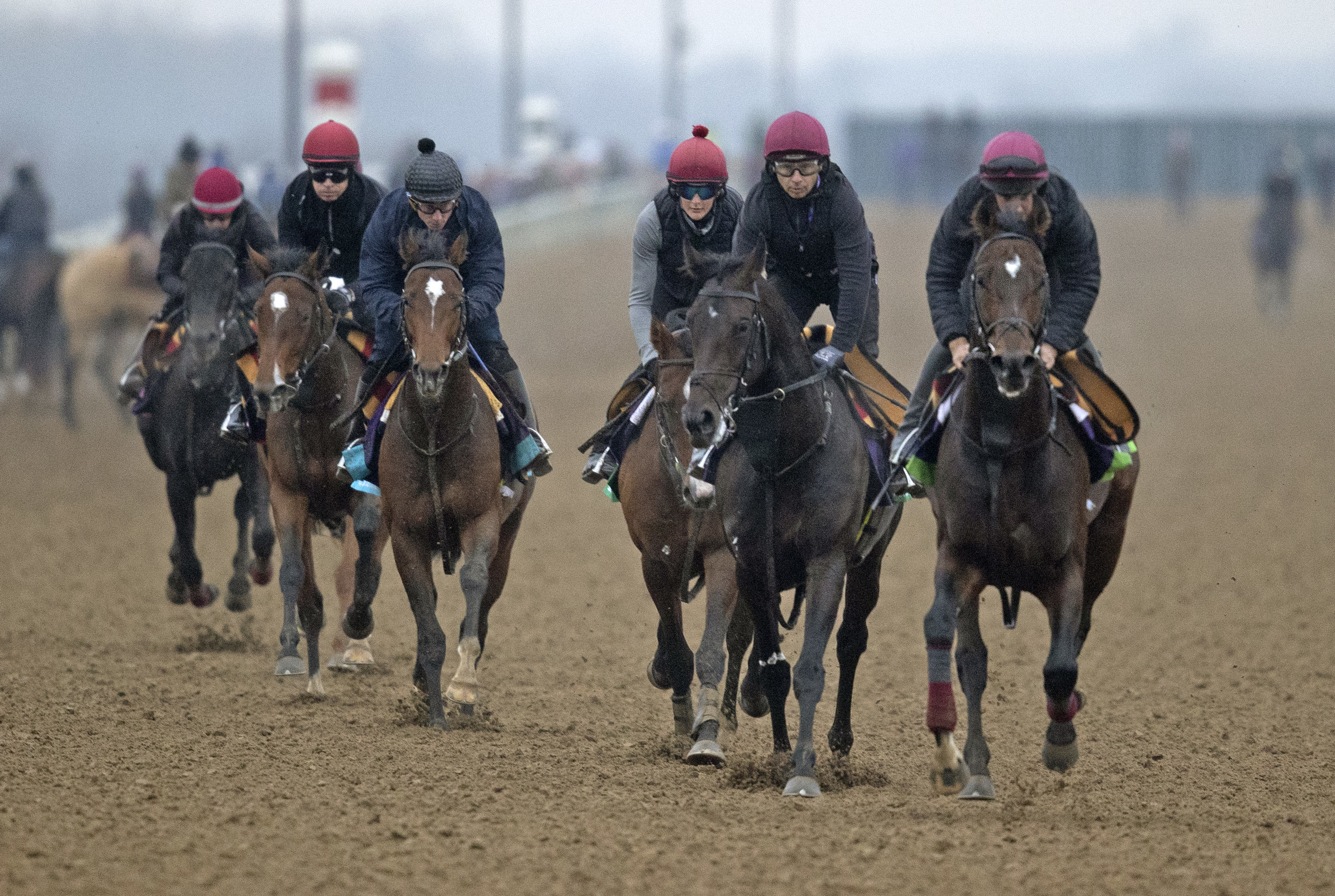 Aidan O'Brien horses at Keeneland Nov 2 2022