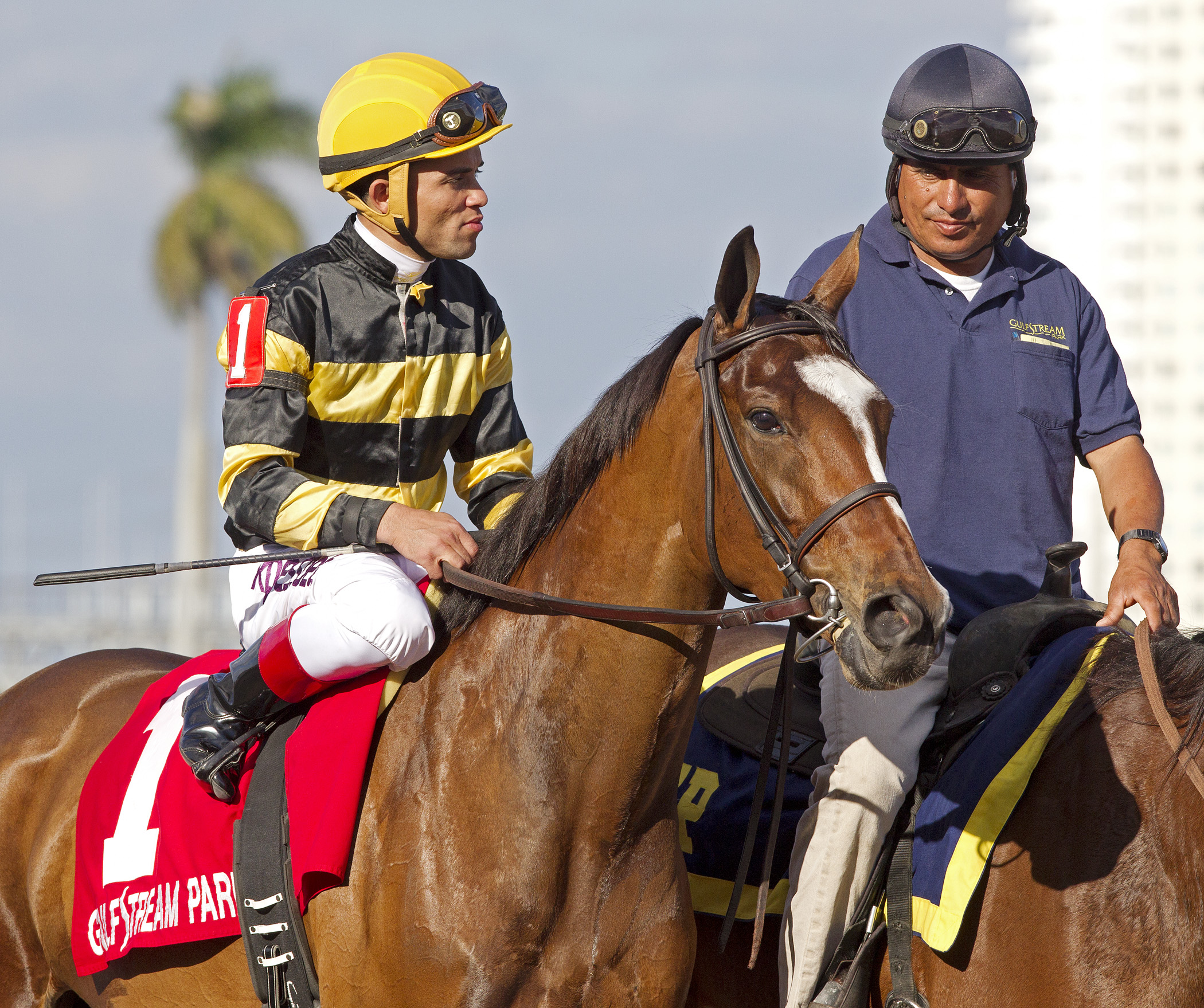 Aigue Marine at The Very One Stakes