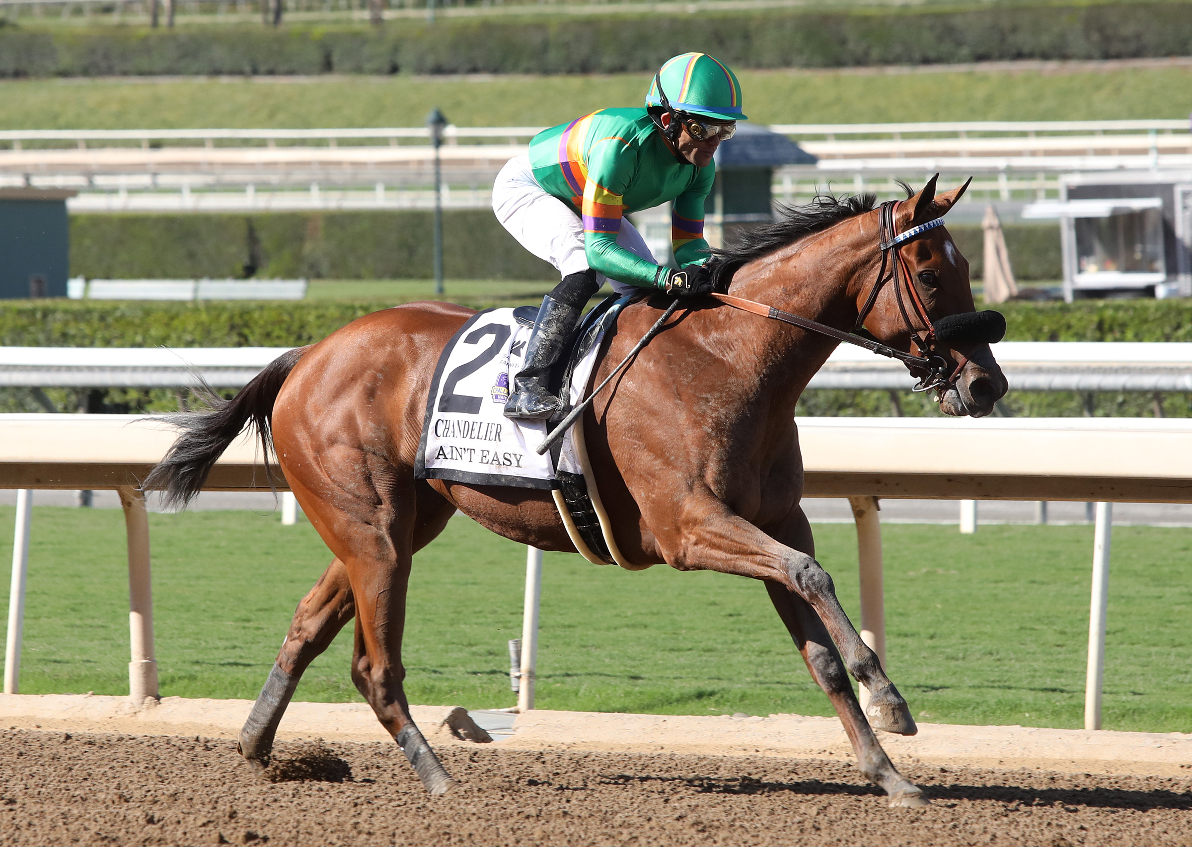 Ain't Easy wins the Chandelier Stakes2.10-1-2021