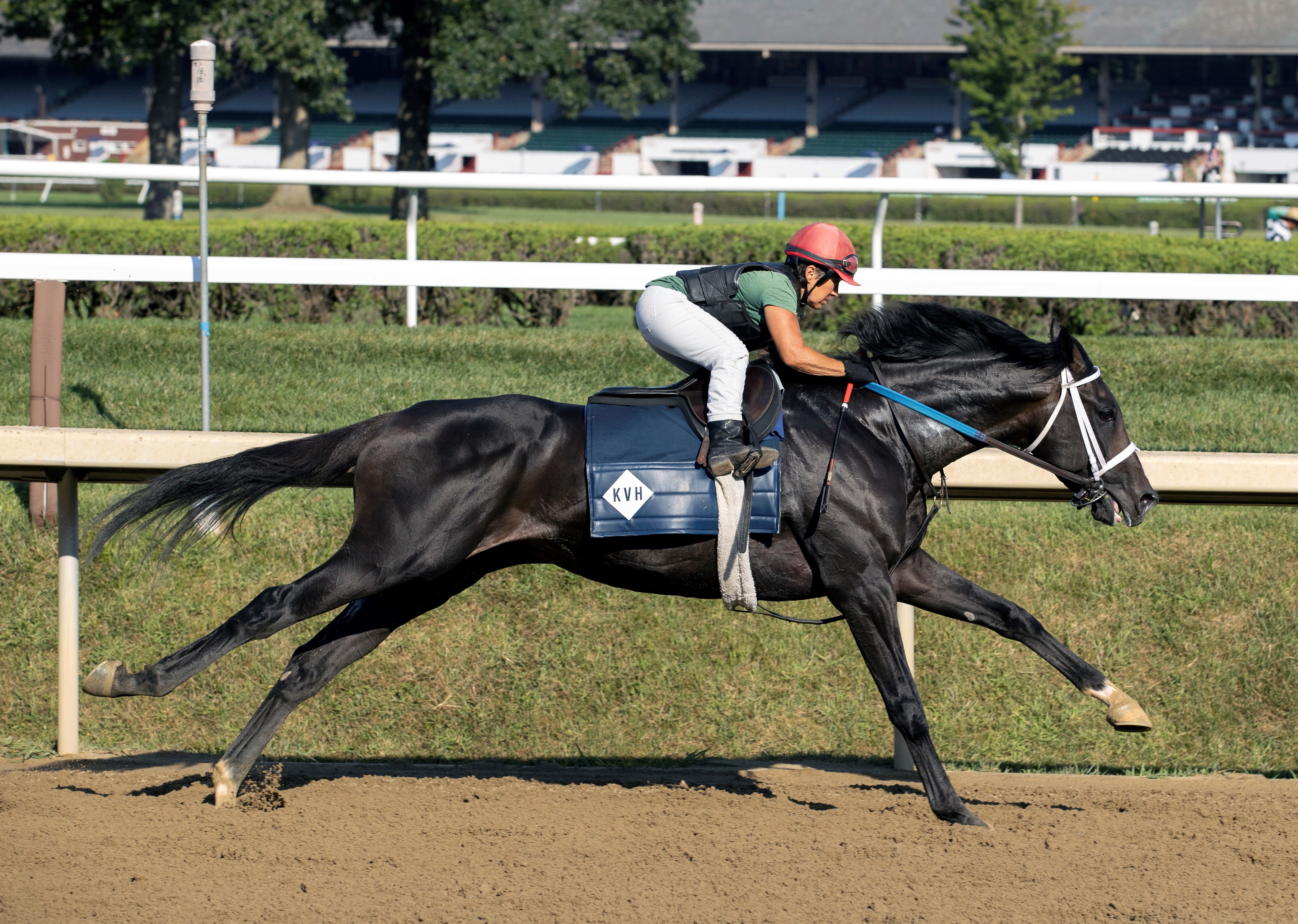 Ain't Life Grand works at Saratoga Aug 20 2022