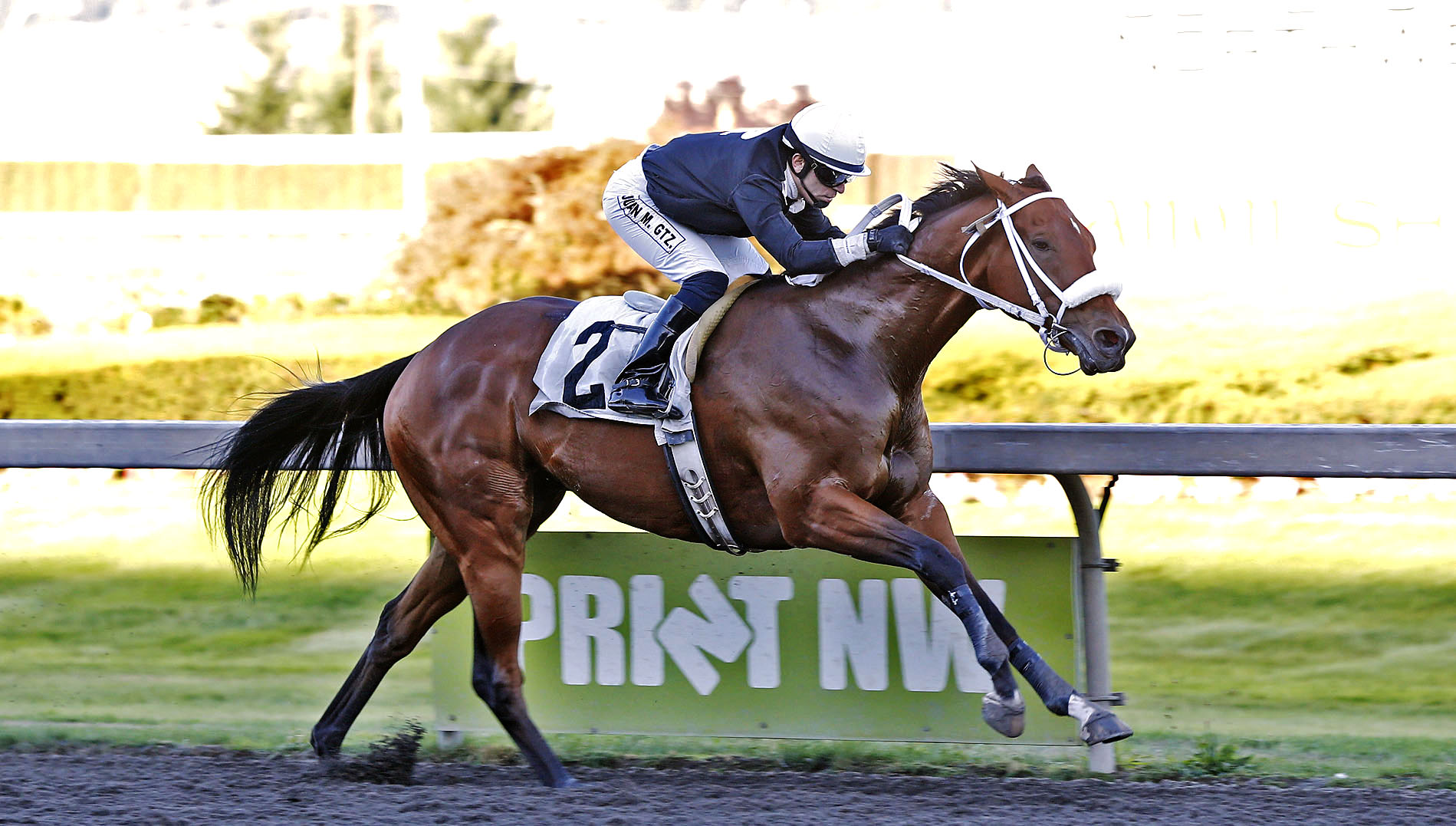 Ain't Tellin wins a claiming race at Emerald Downs