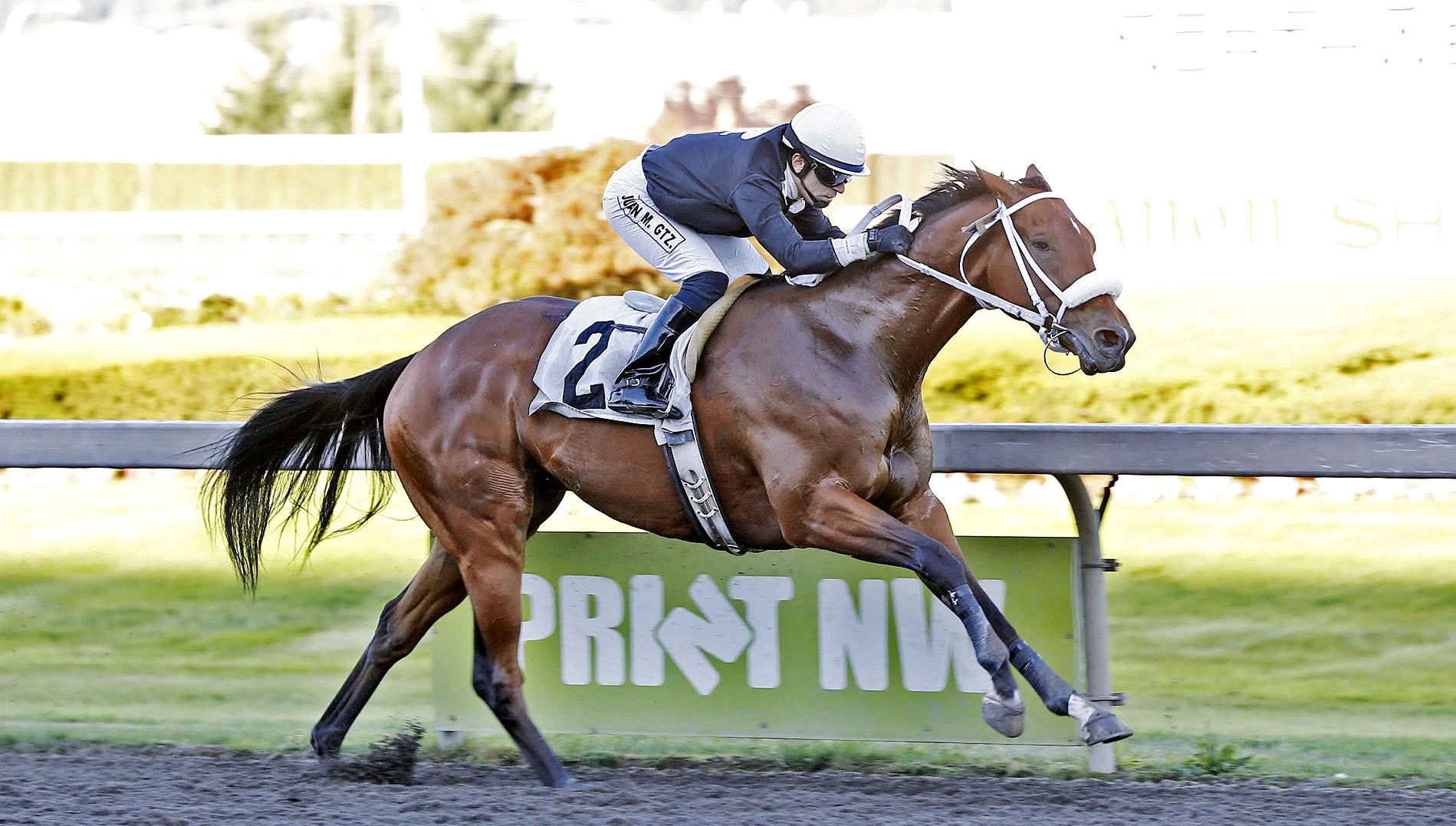 Ain't Tellin wins an optional claimer at Emerald Downs on Sept. 12, 2015